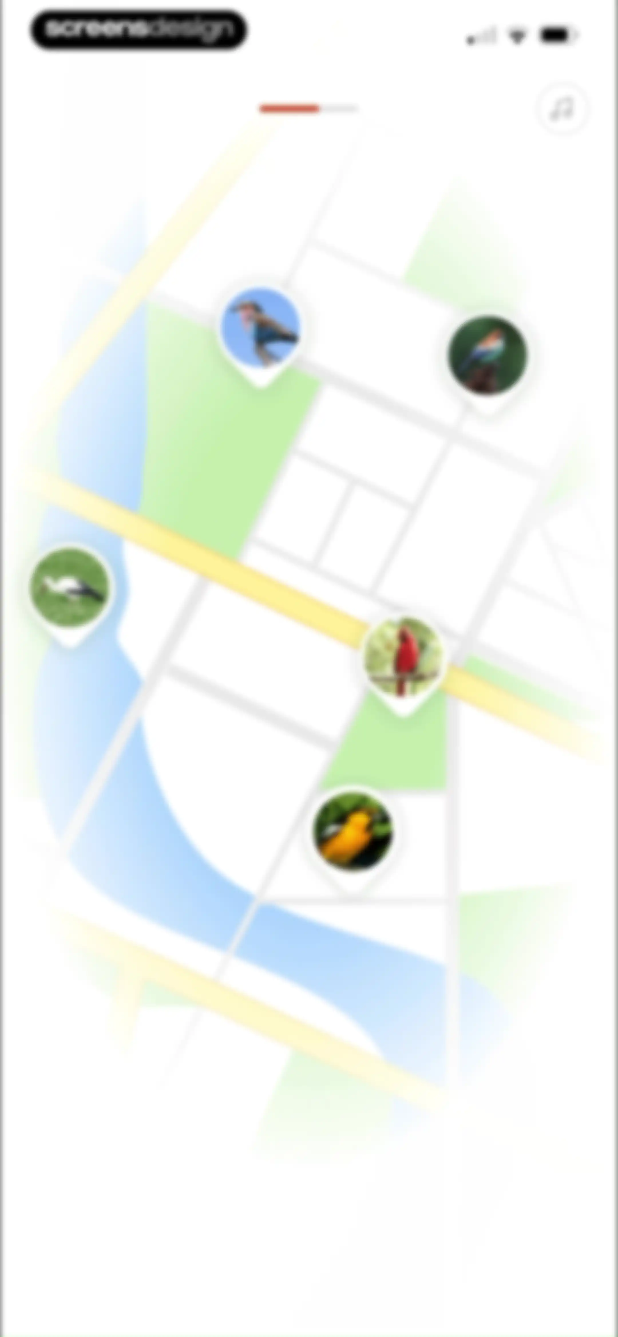 Picture Bird: Bird identifier screen 7