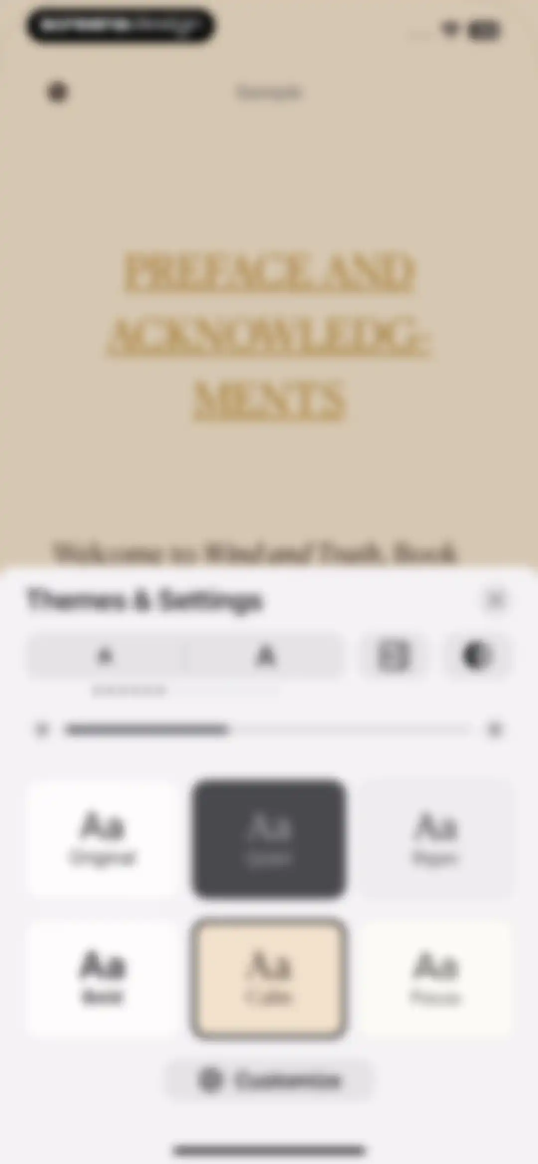 Apple Books screen 18