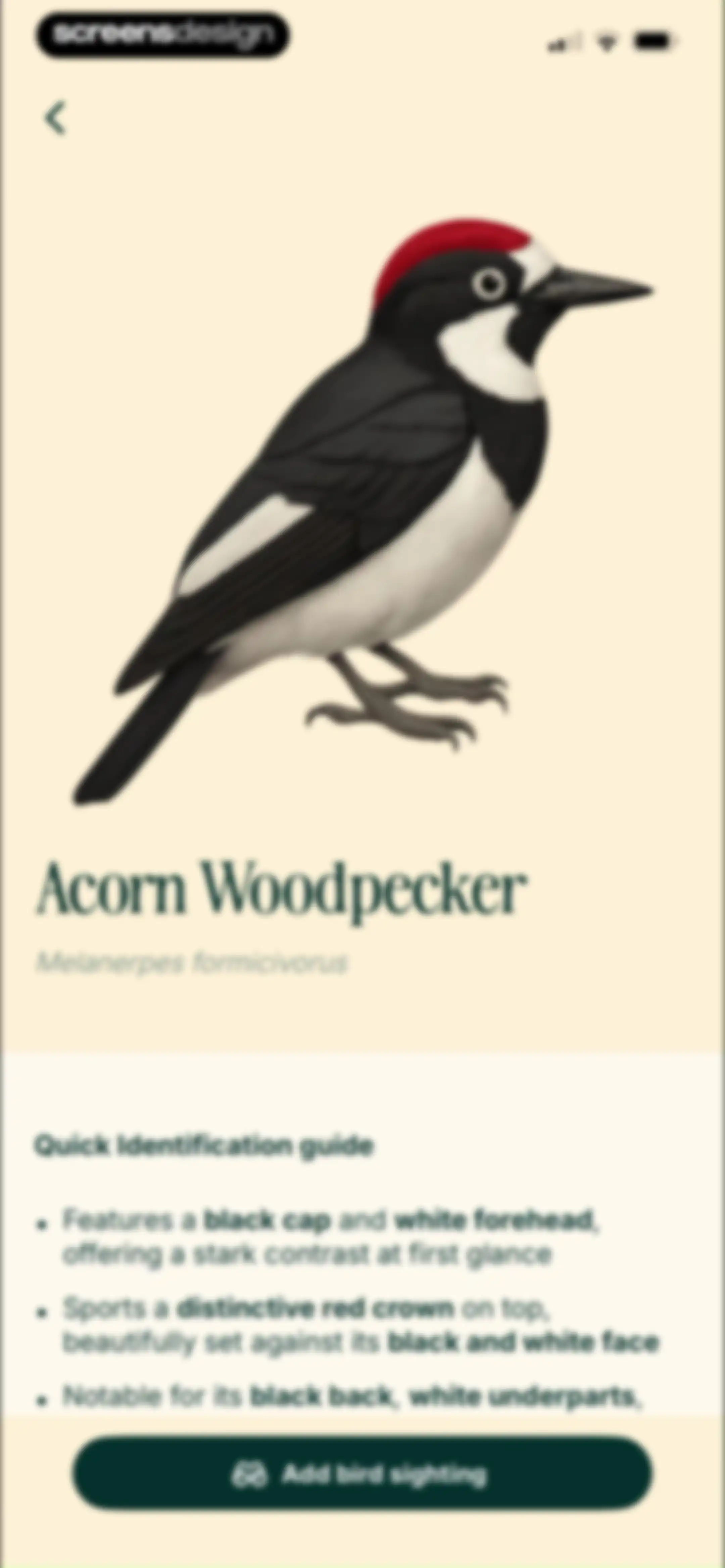 Birdbuddy: ID & Collect Birds screen 53