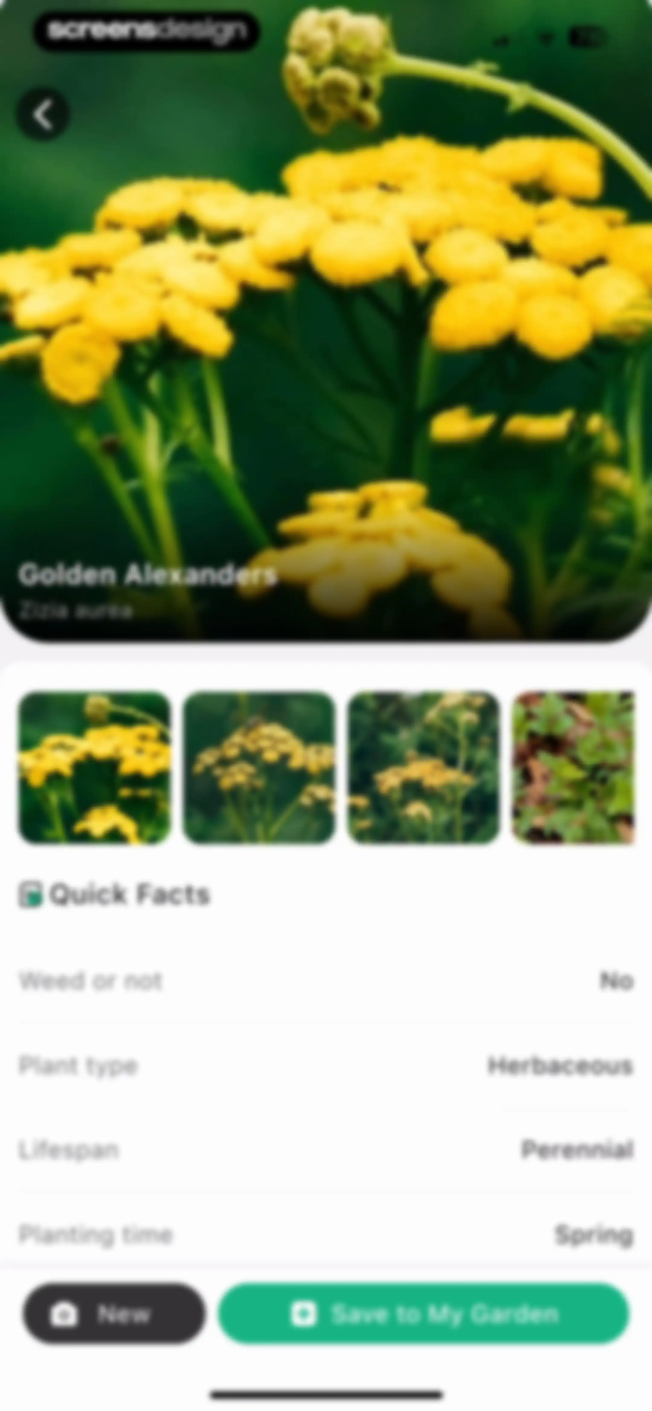Plant Identifier: ChatPlant AI screen 55