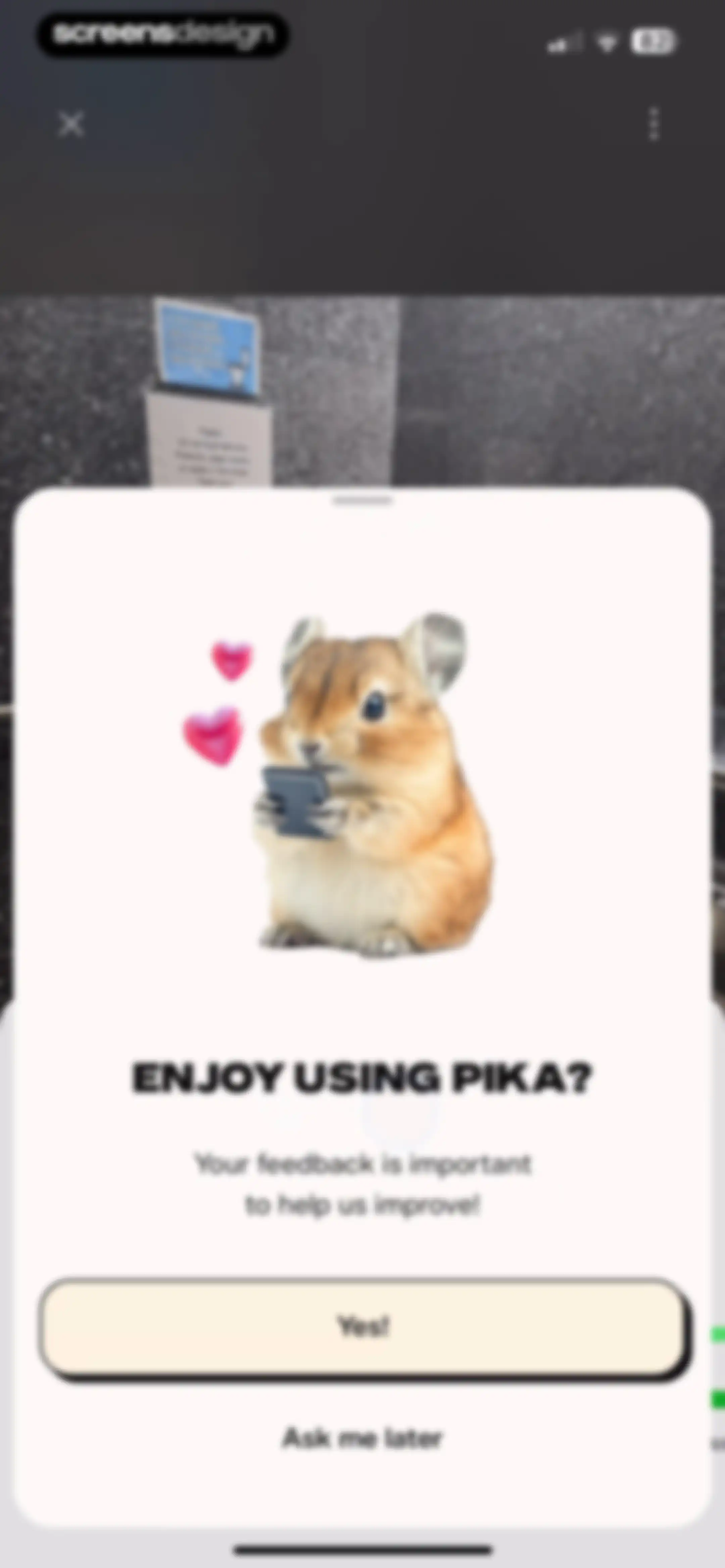 Pika Video screen 39