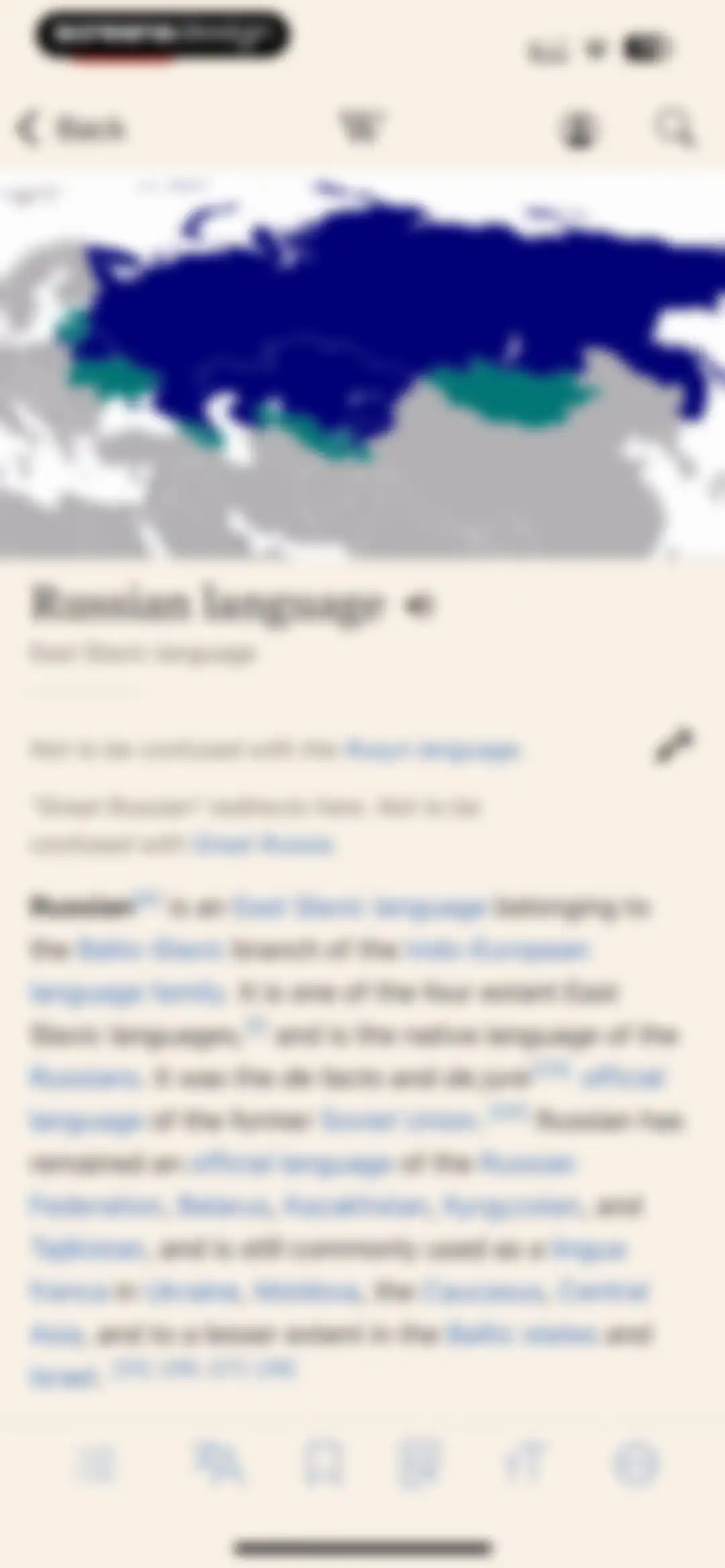 Wikipedia screen 22