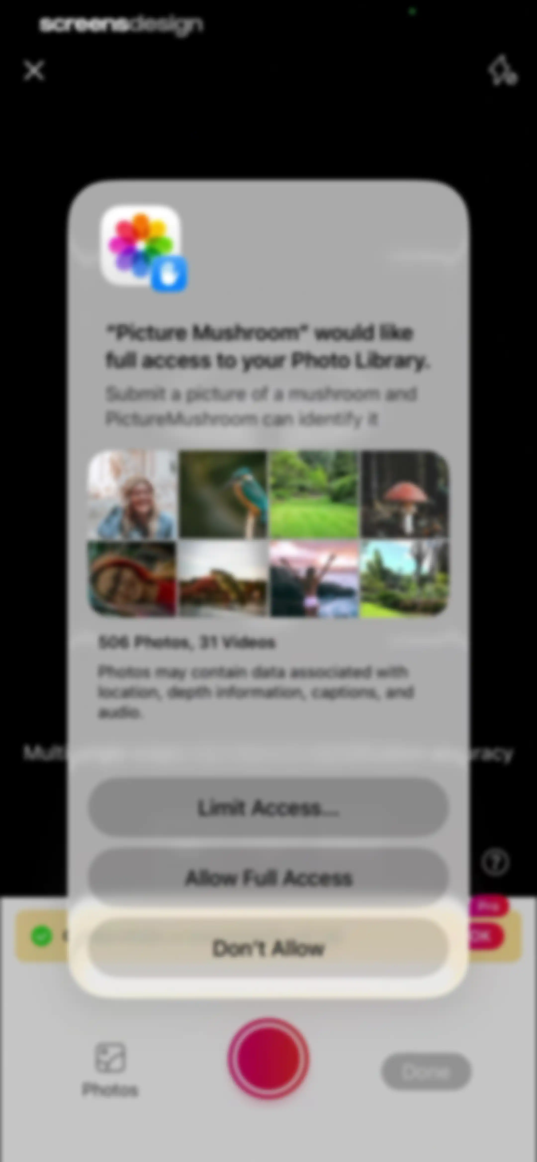 Picture Mushroom: Identifier screen 74
