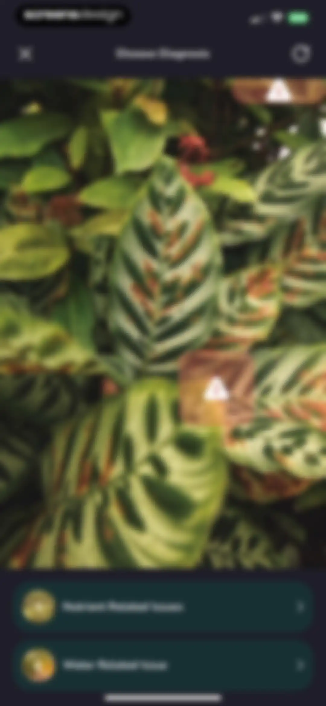 Plantfie・Plant Care Identifier screen 77
