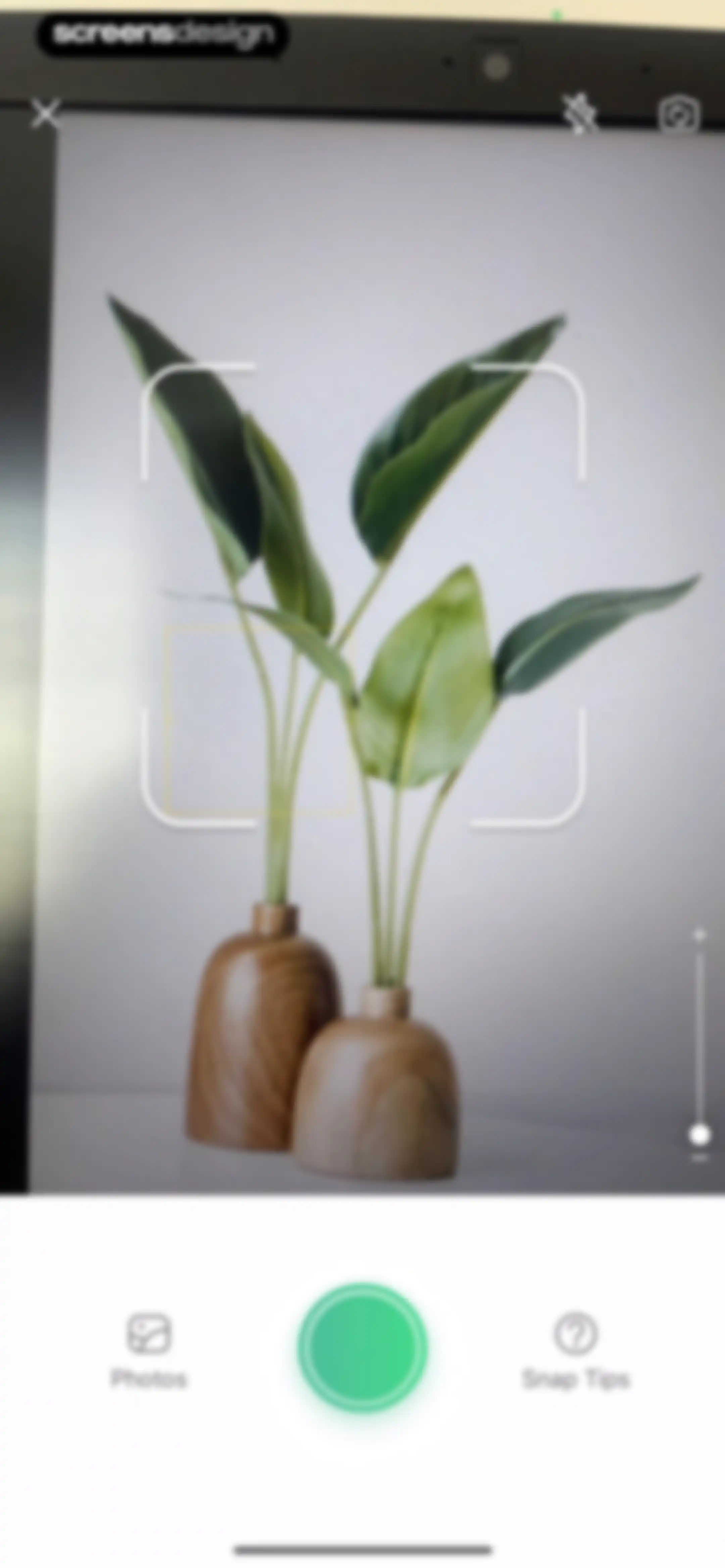 Plant Parent: Plant Care Guide screen 32