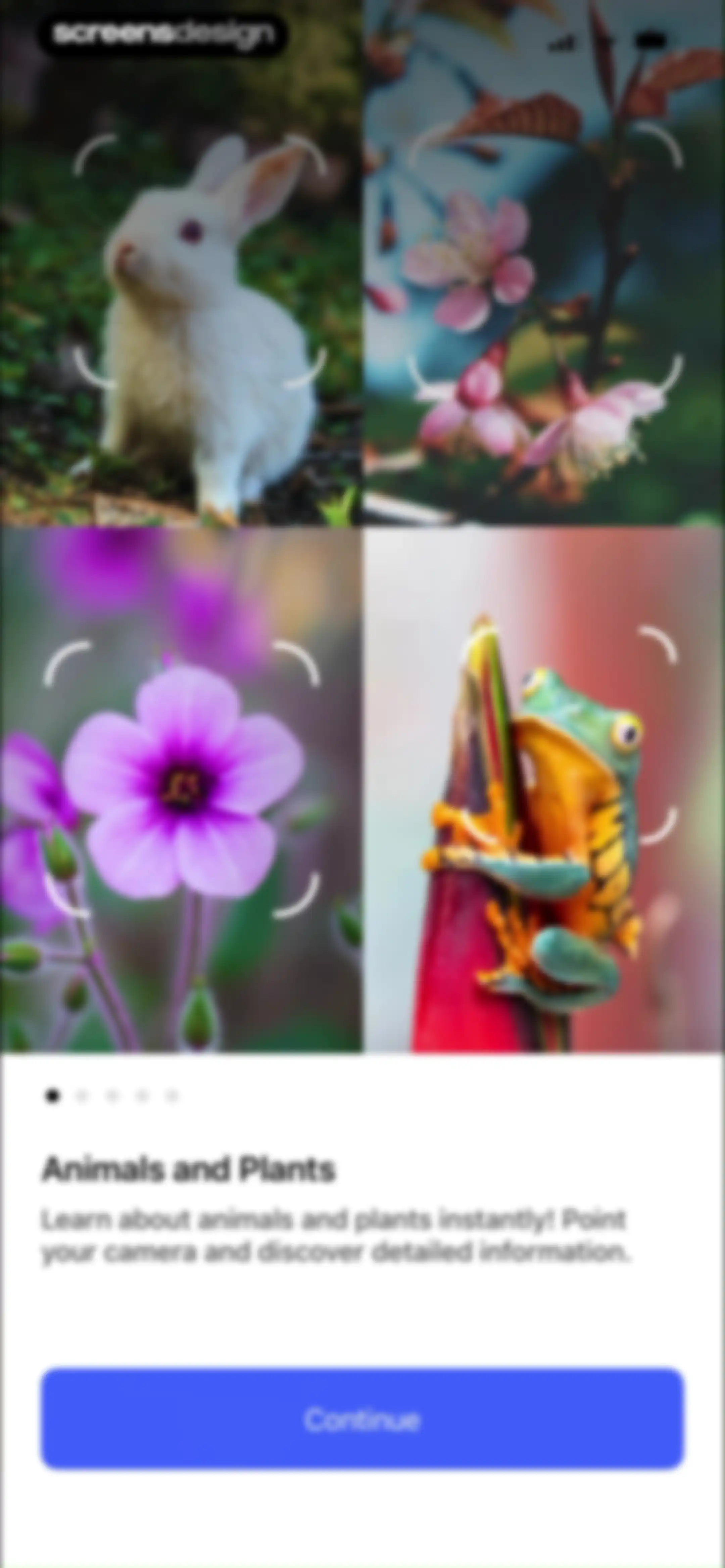 LensAI・Identifier・Image Search screen 35
