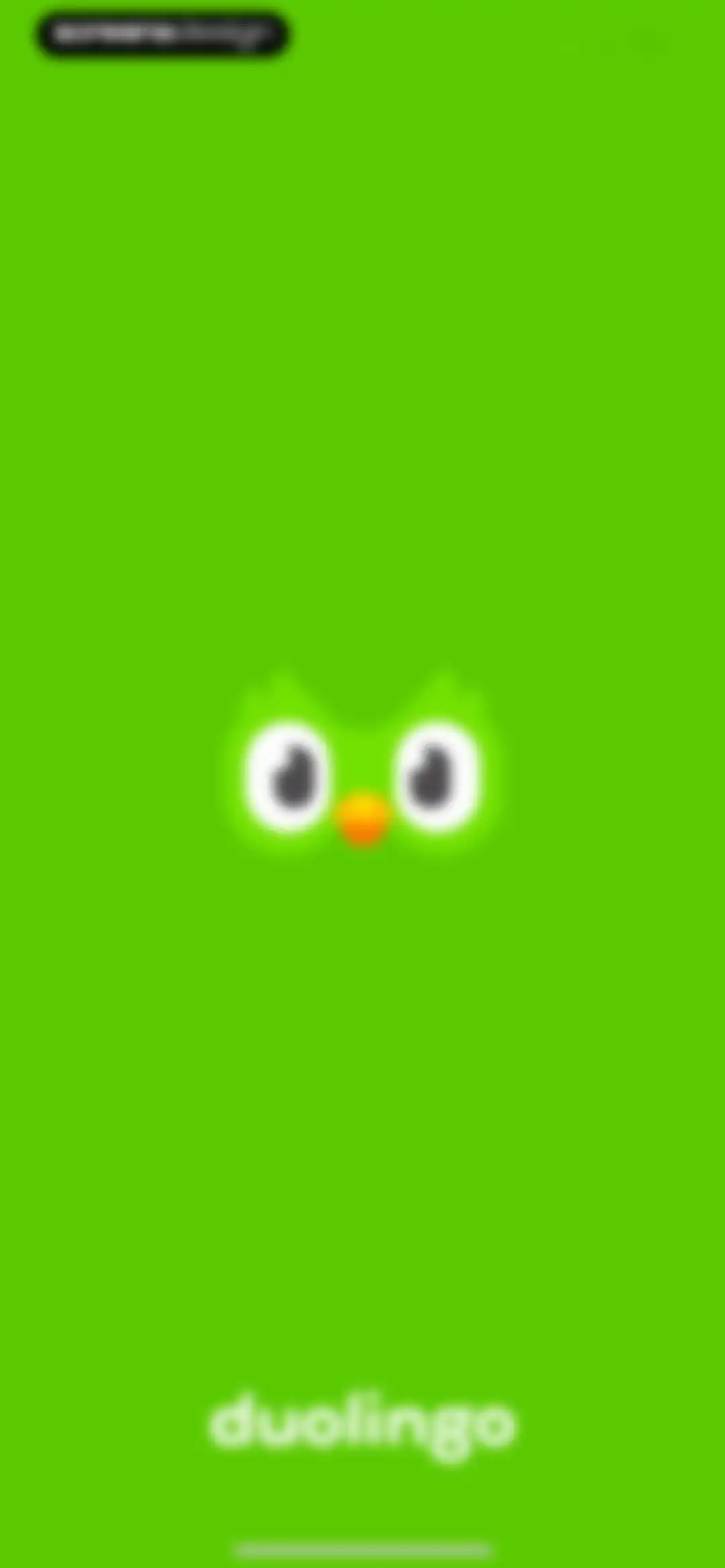 Duolingo: Language Lessons screen 1