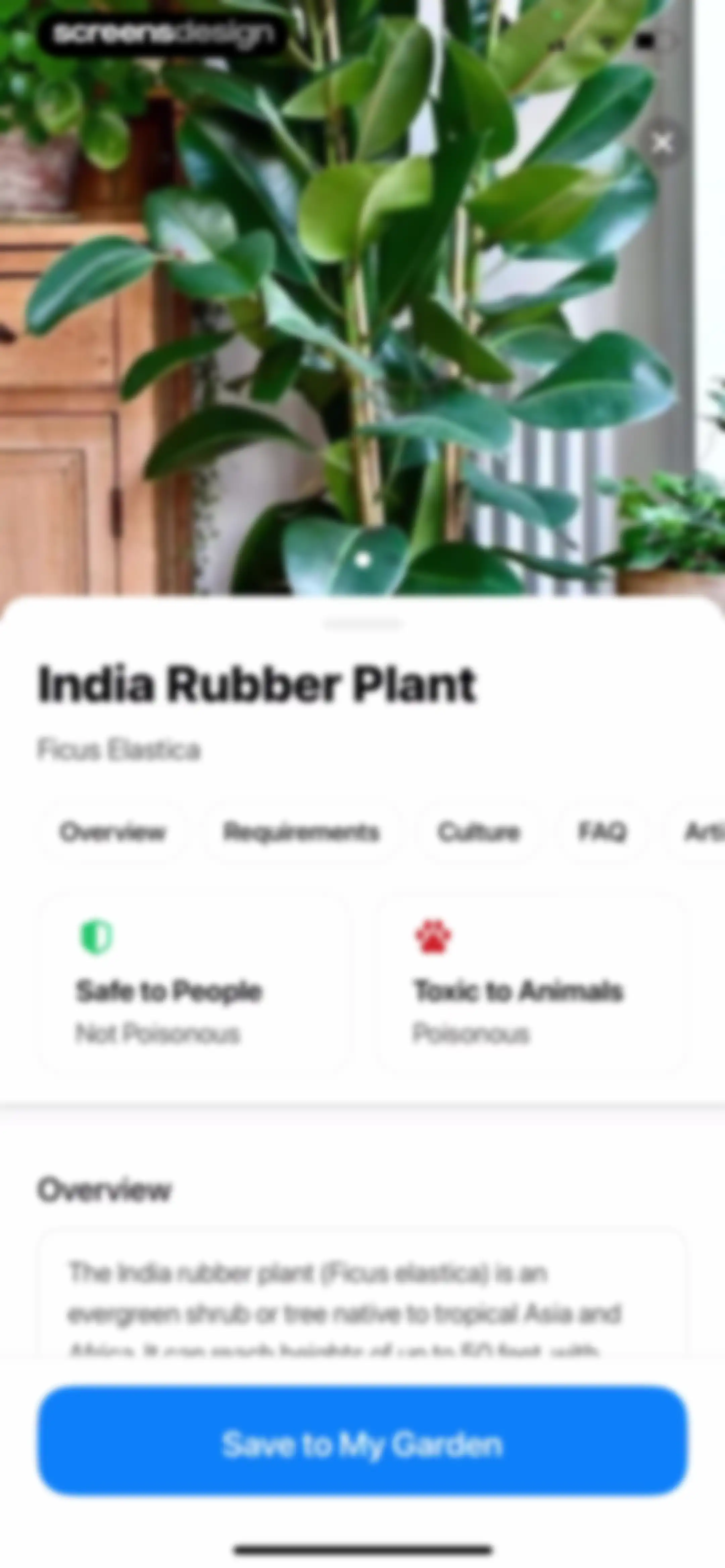 Plant App: Plant Identifier screen 48