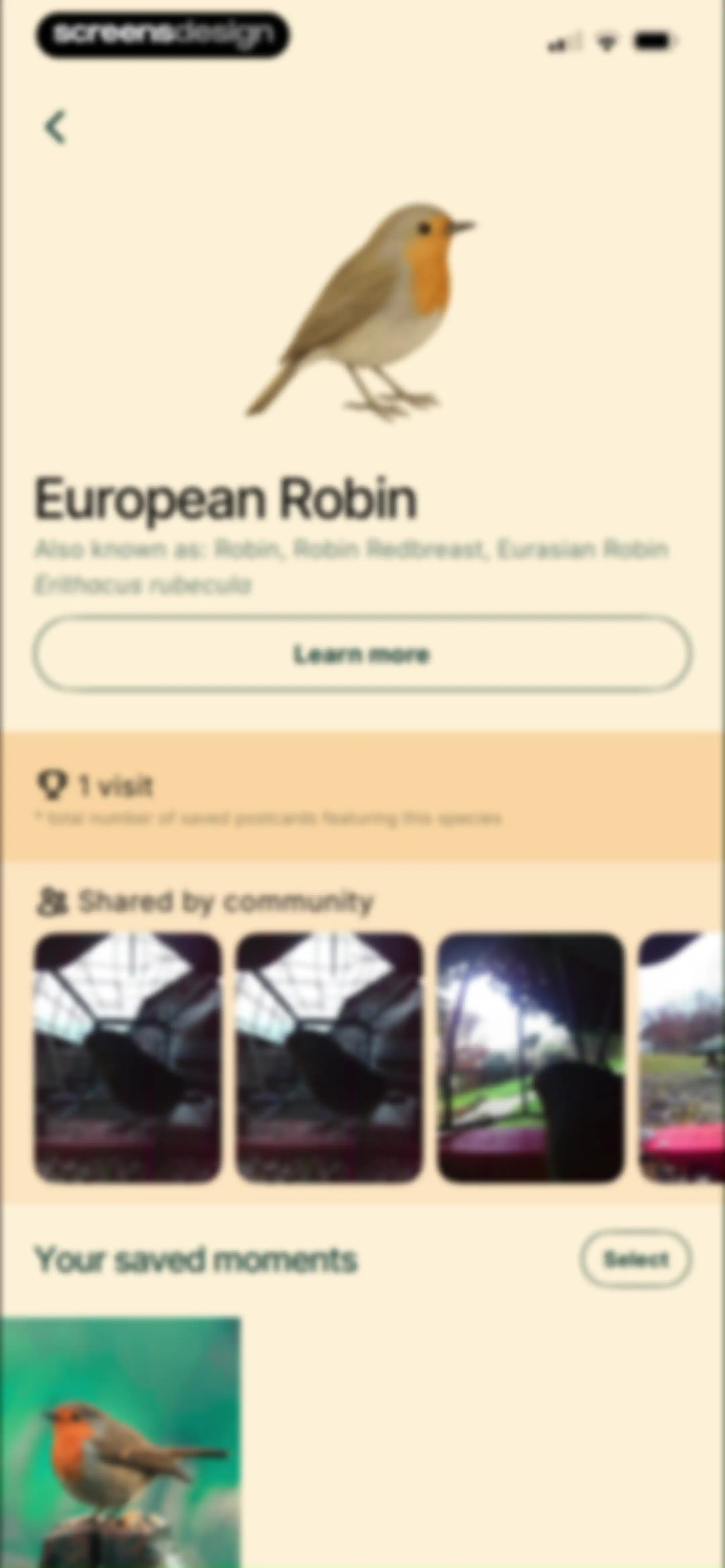 Birdbuddy: ID & Collect Birds screen 76