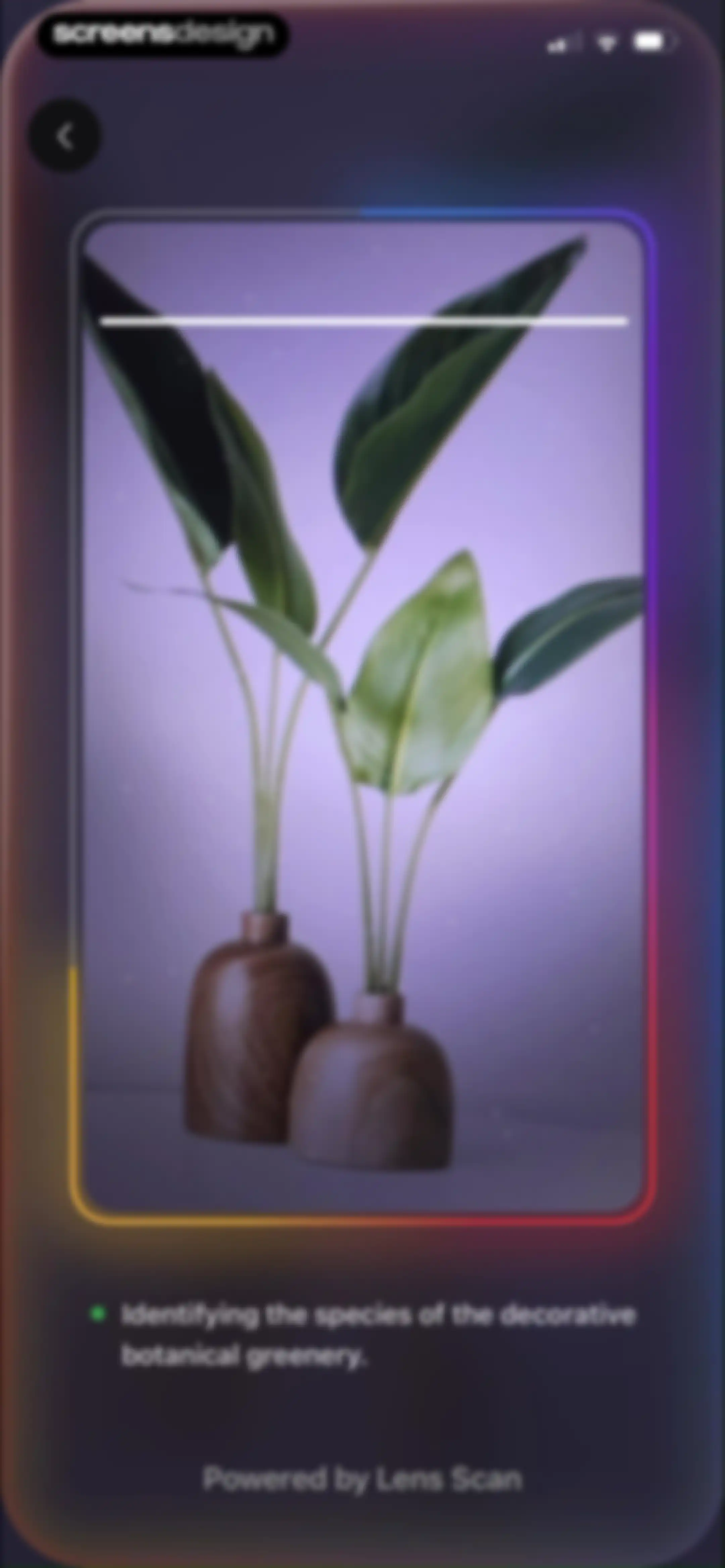 Lens Scan: Identify Anything screen 19