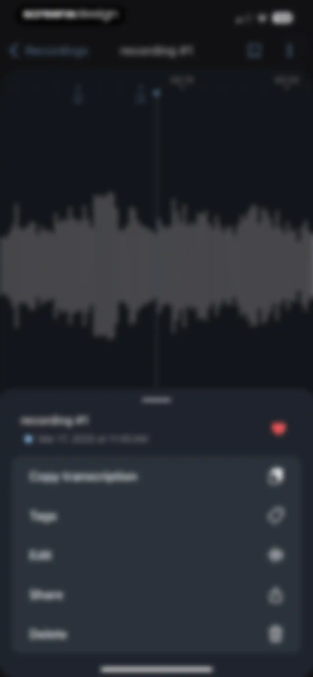 Voice Recorder & Transcribe screen 30