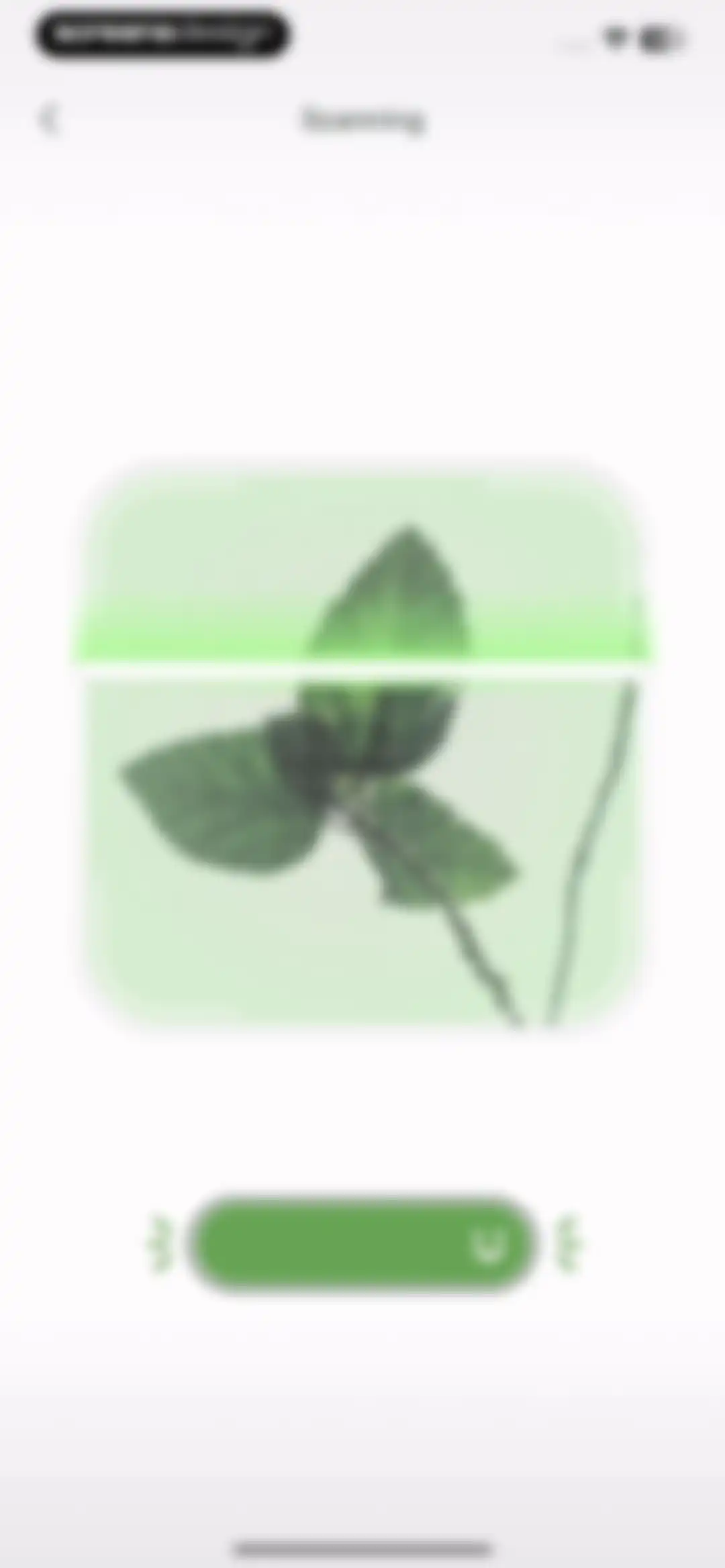 CamScanning: AI Measure & Scan screen 42