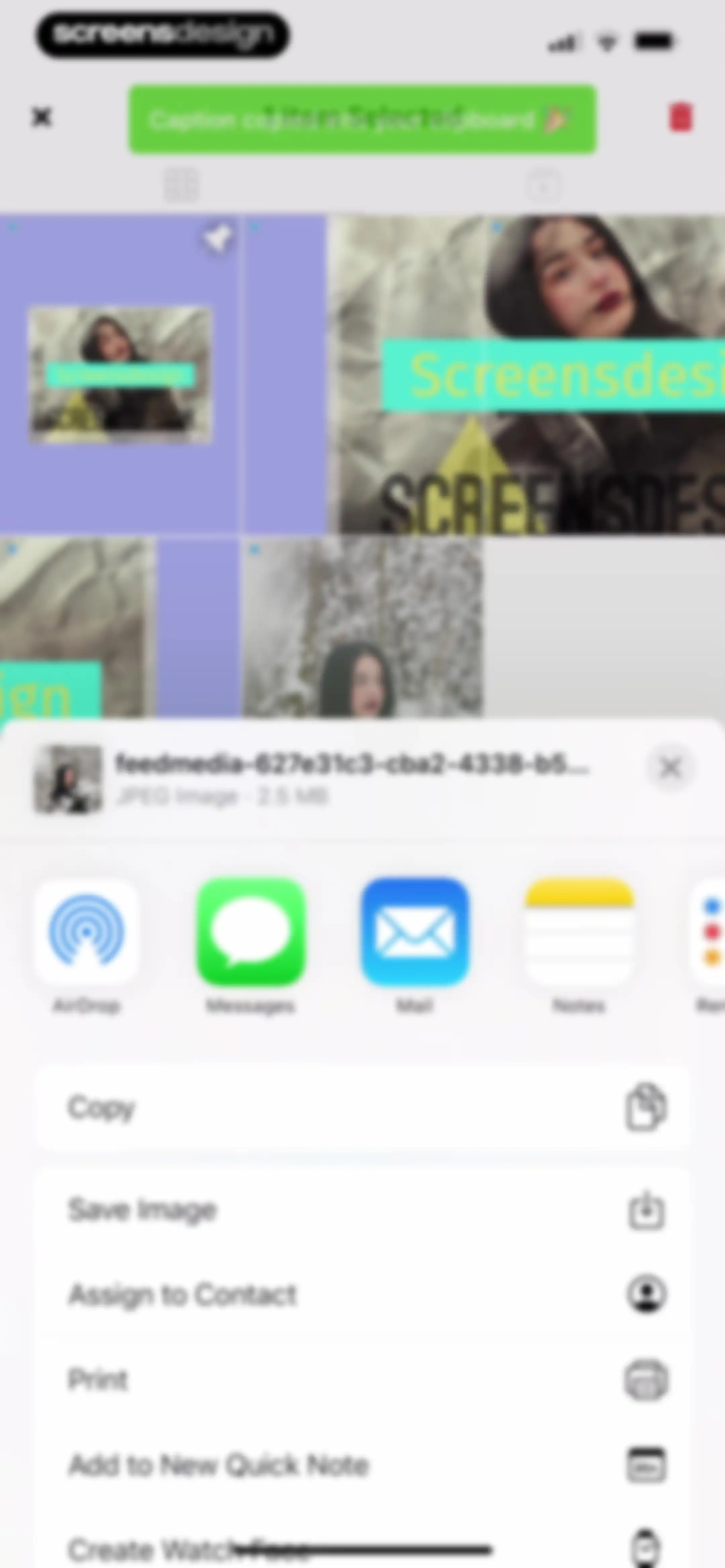 Feed Preview: Planner for IG screen 71