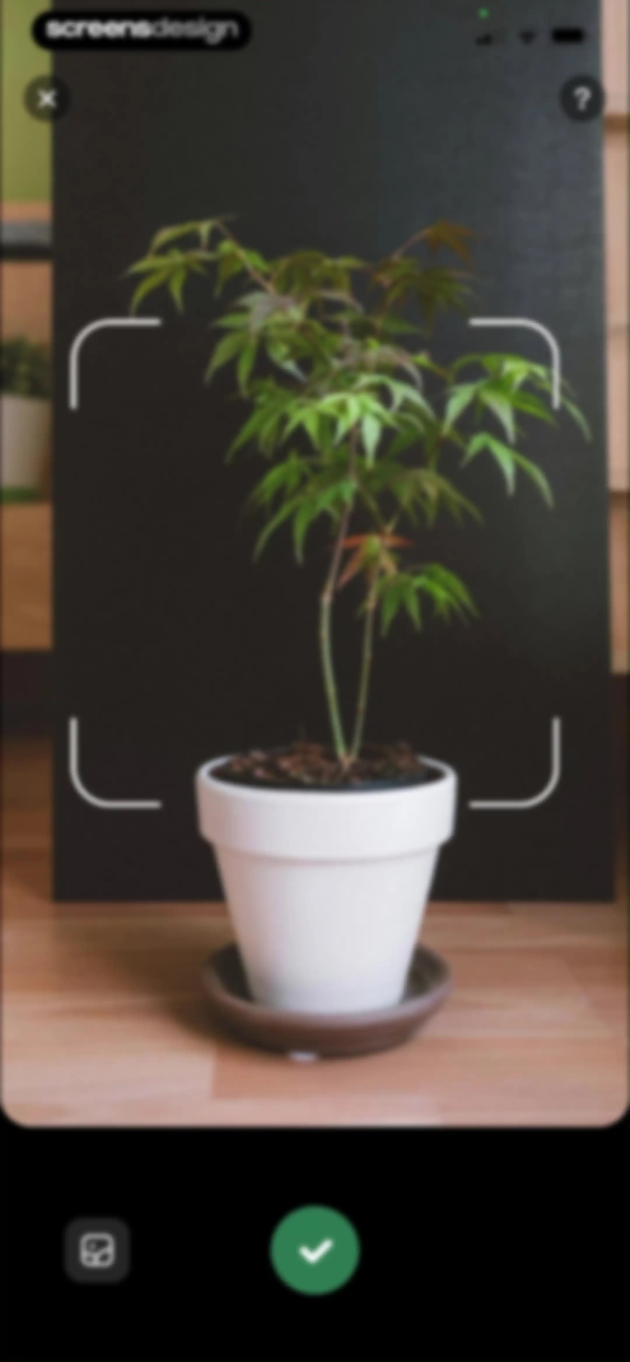 PlantLush: Plant ID & Care Pro screen 93