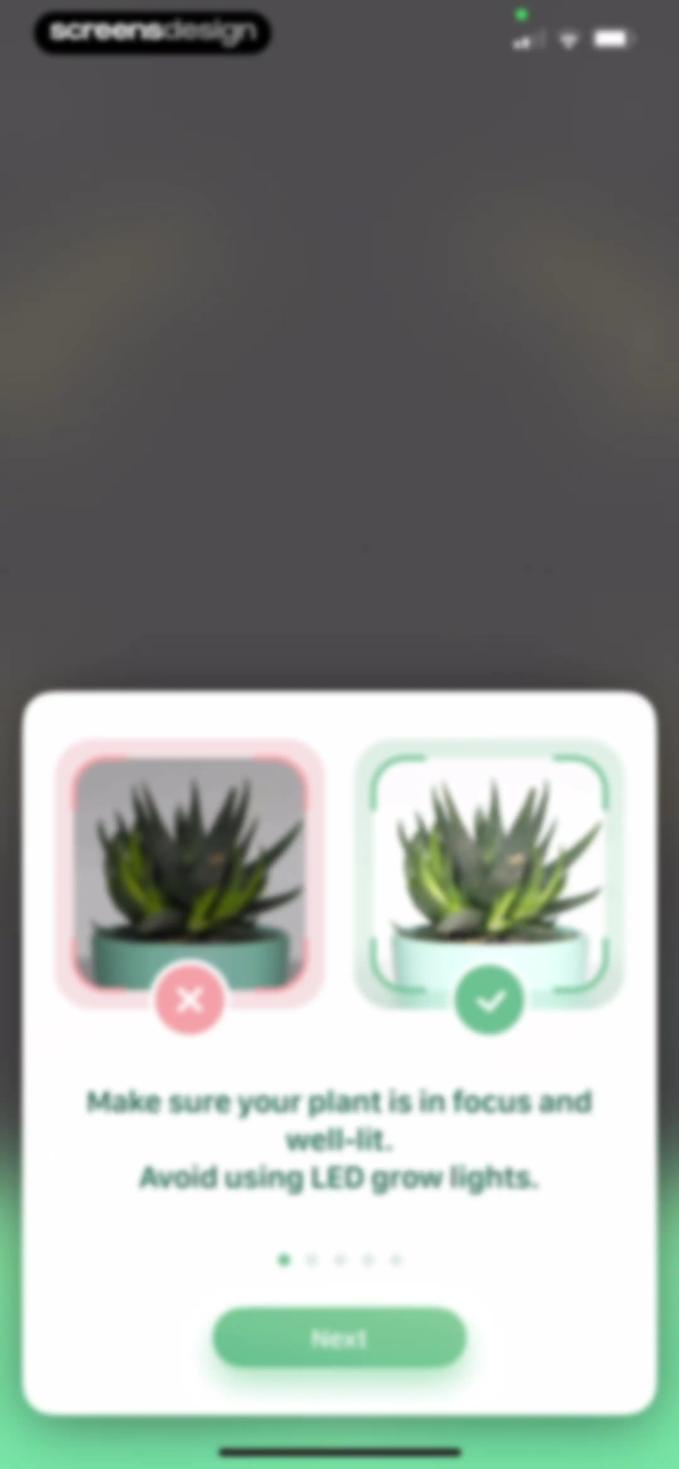 Blossom - Plant Care Guide screen 93