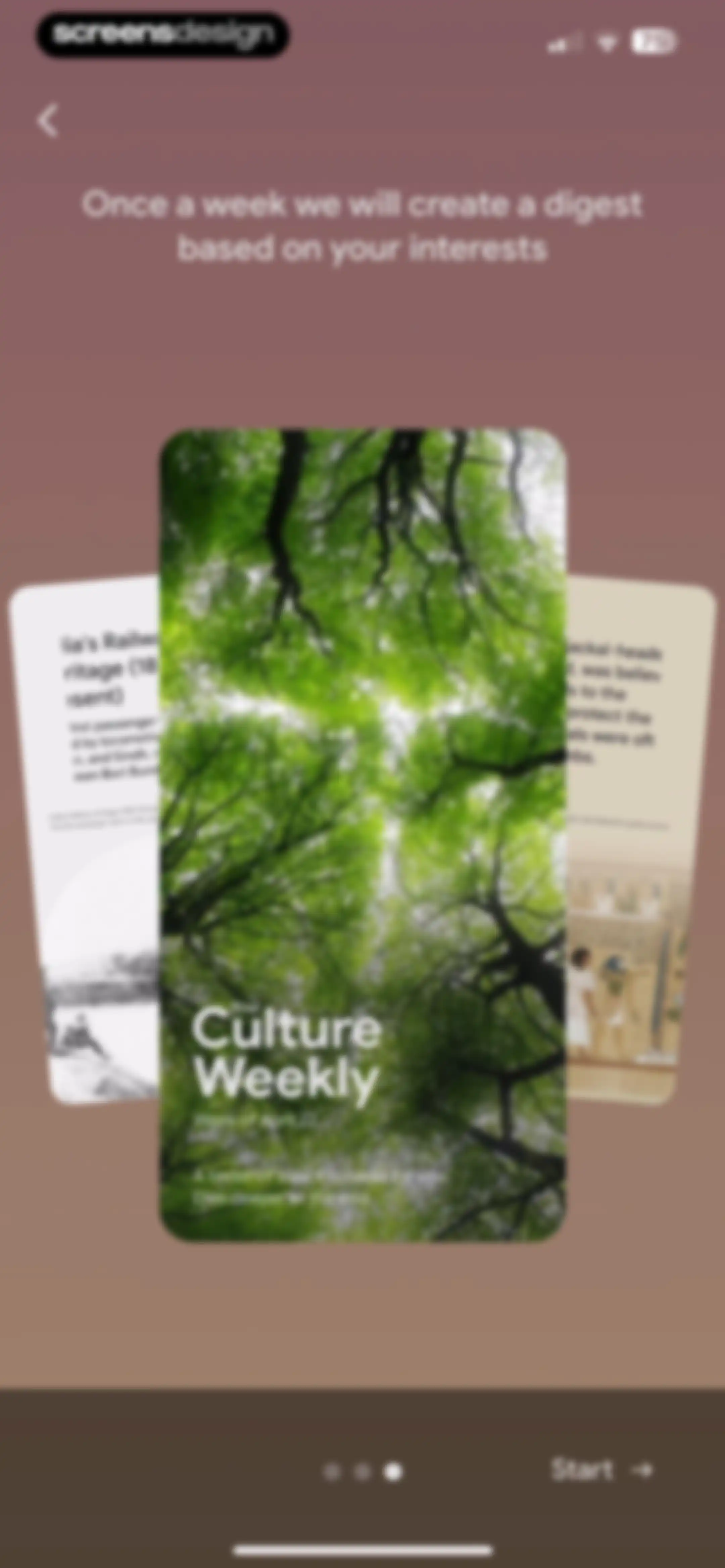 Google Arts & Culture screen 11