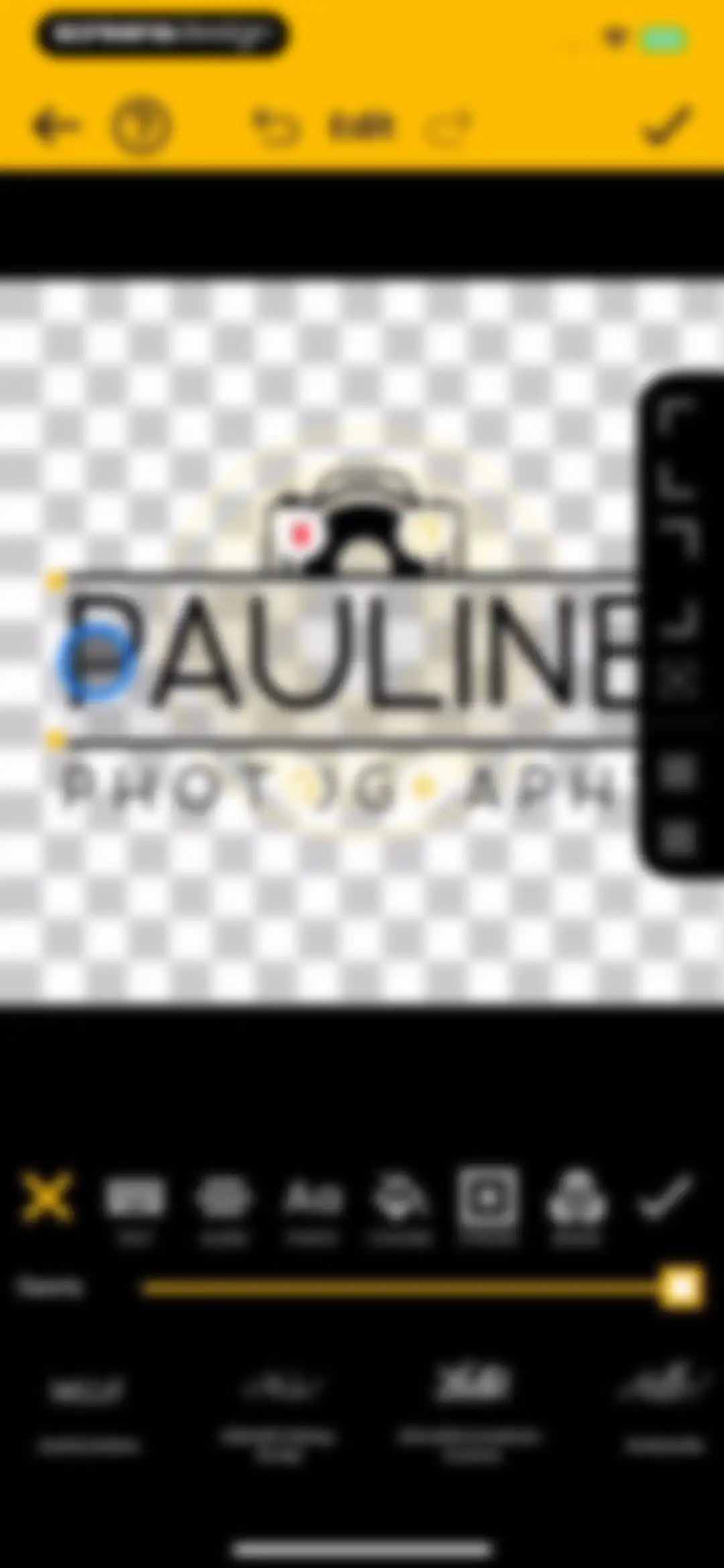 Watermark Maker: Add Signature screen 16