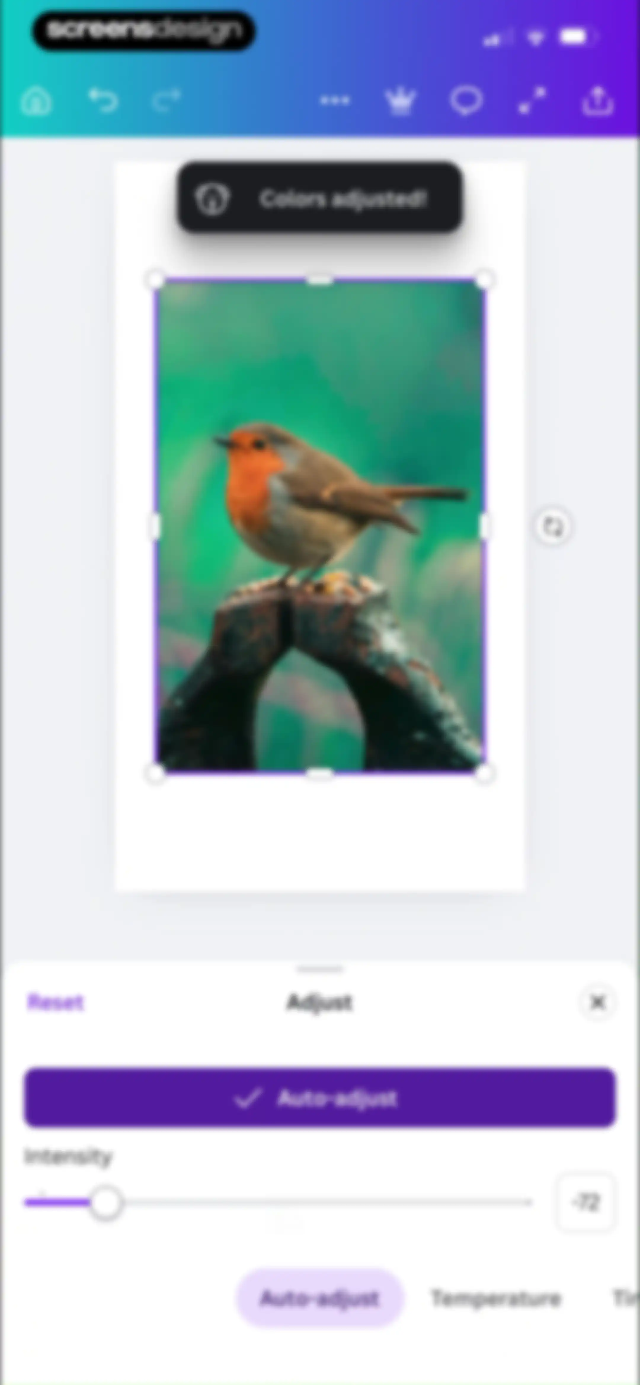 Canva: AI Video & Photo Editor screen 30