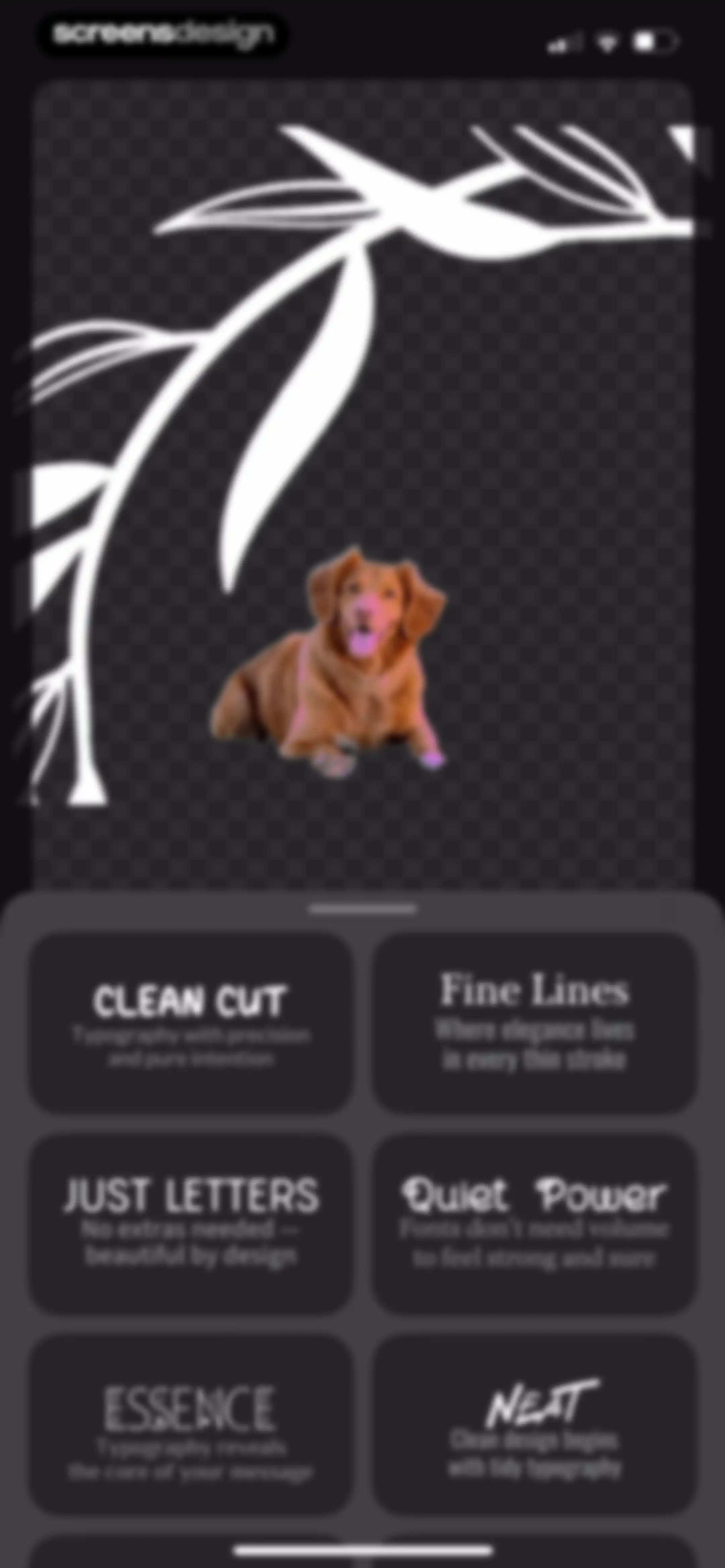 Leto: Font for Instagram Story screen 77