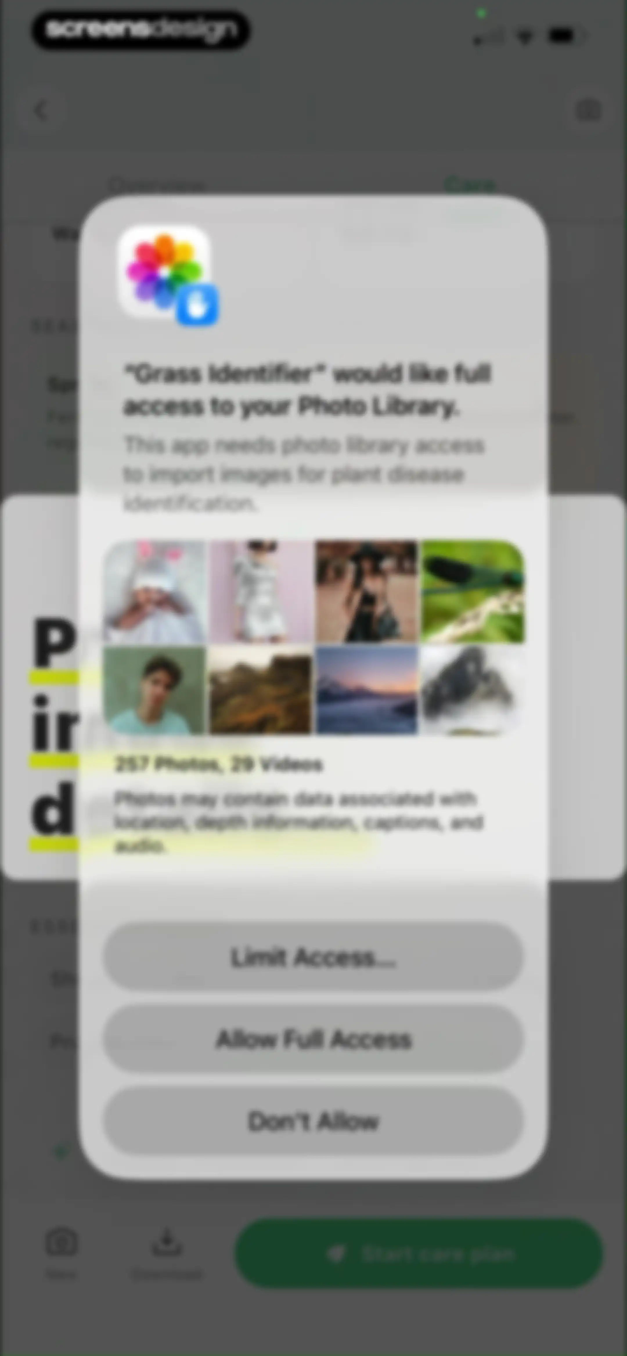 Grass Identifier: AI Scan screen 29