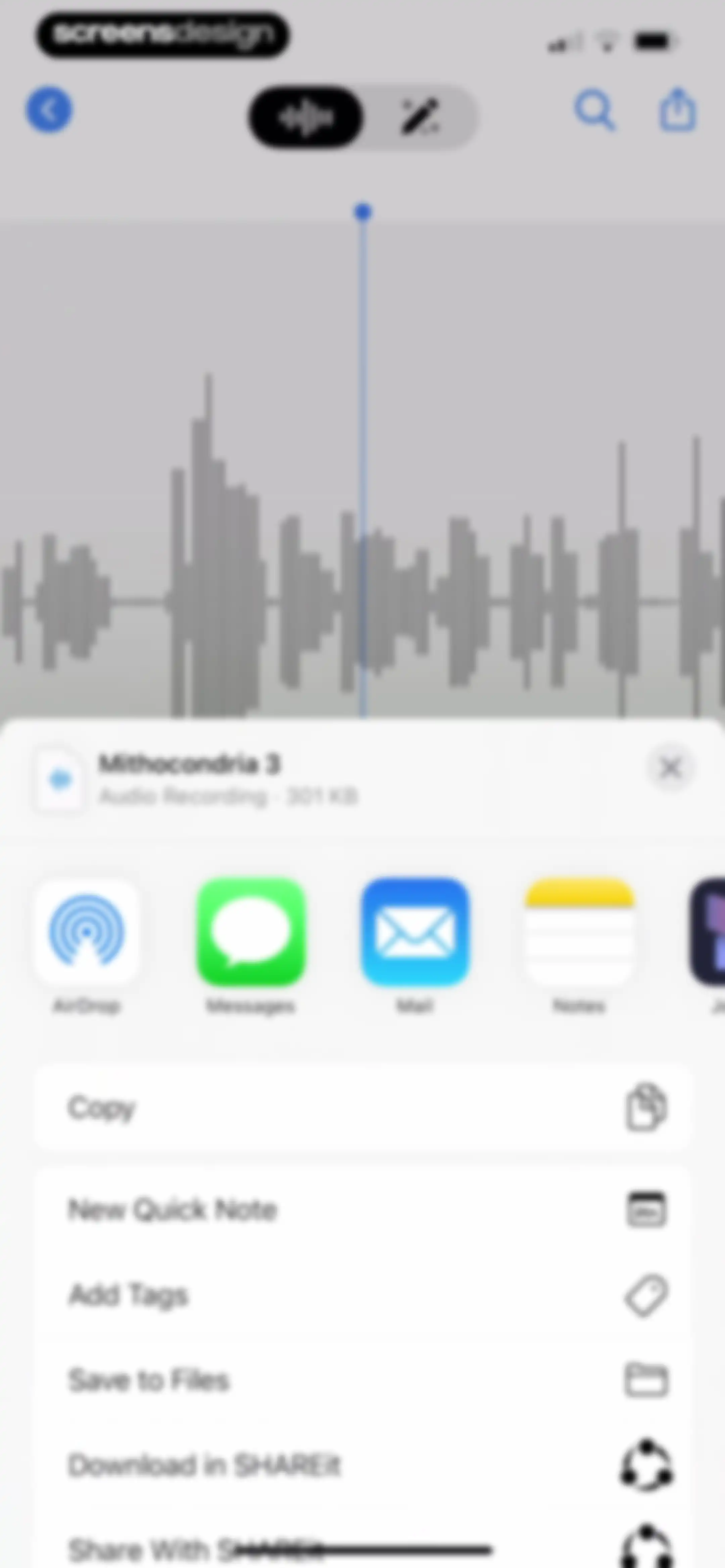 Voice Recorder & Audio Editor screen 38