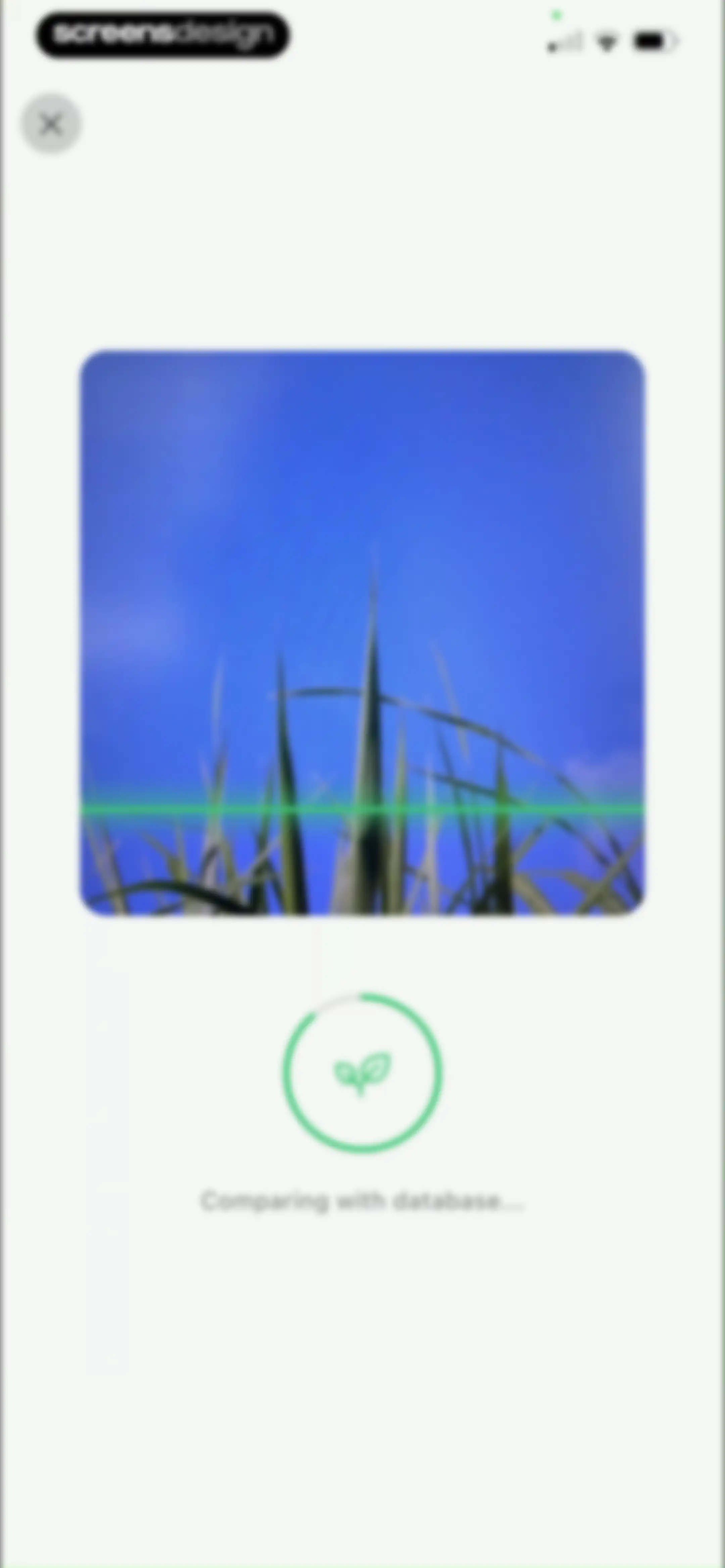Grass Identifier: AI Scan screen 20