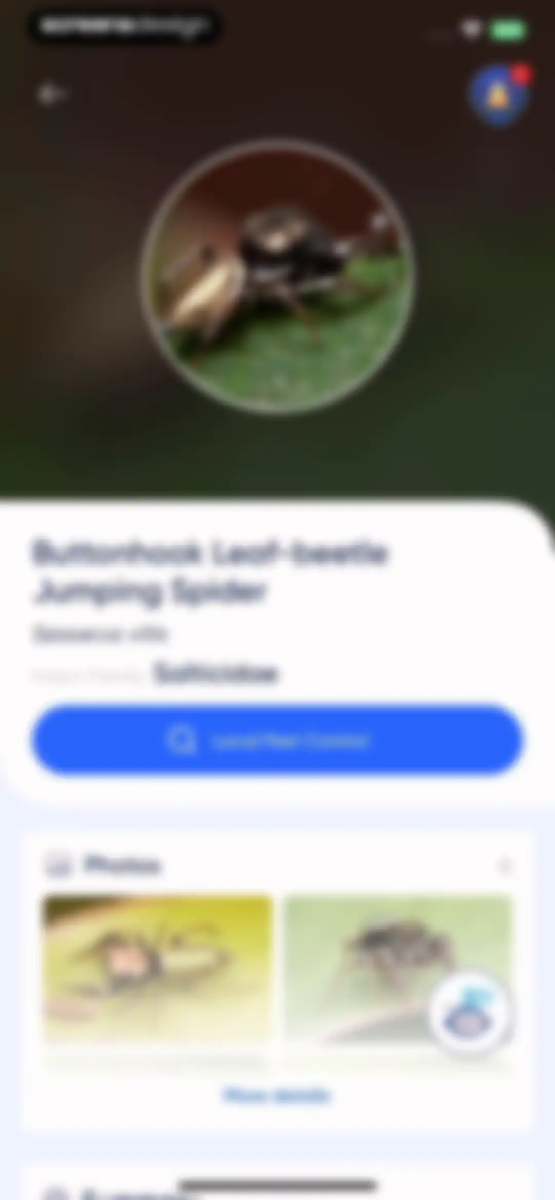 Bug Identifier: AI Insect id screen 27