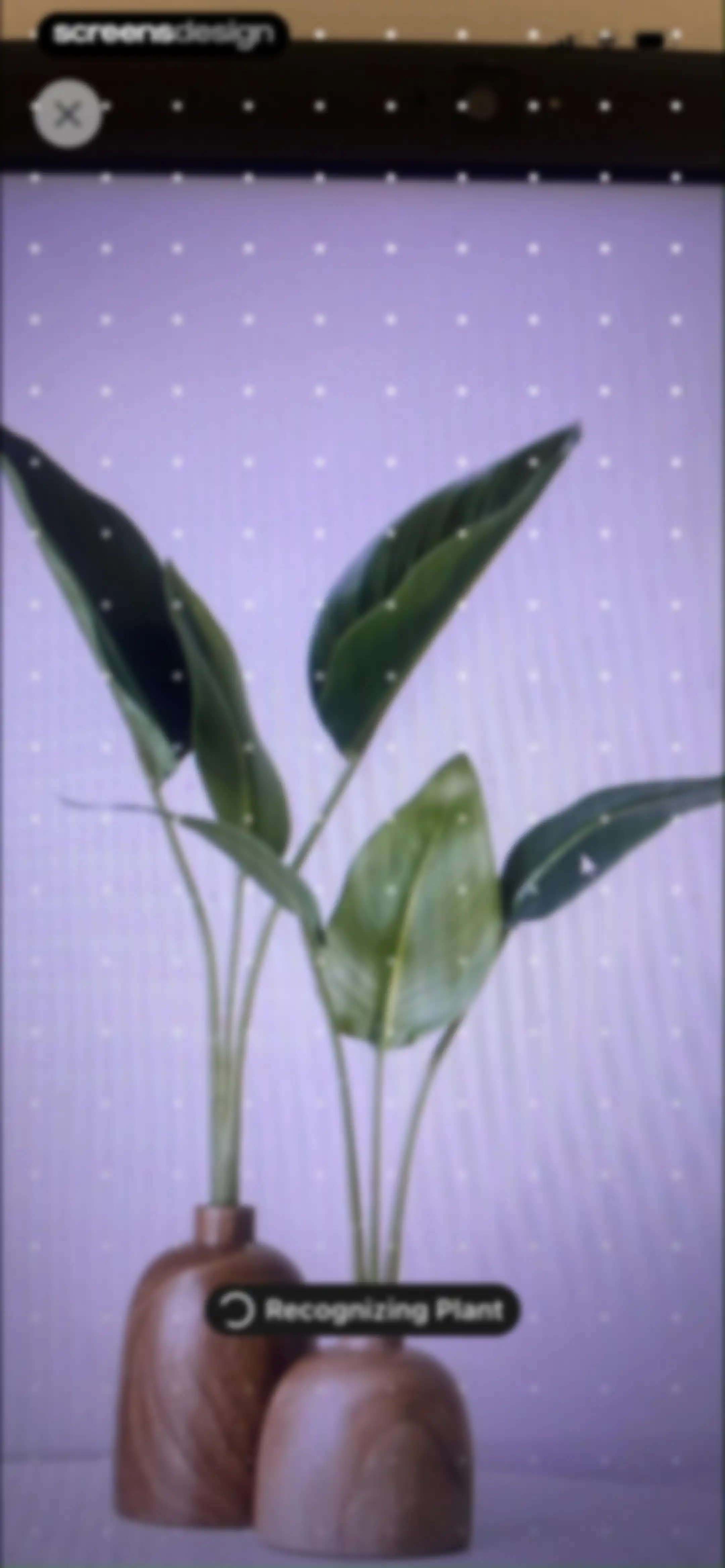 PlantAID:identifier&care guide screen 25