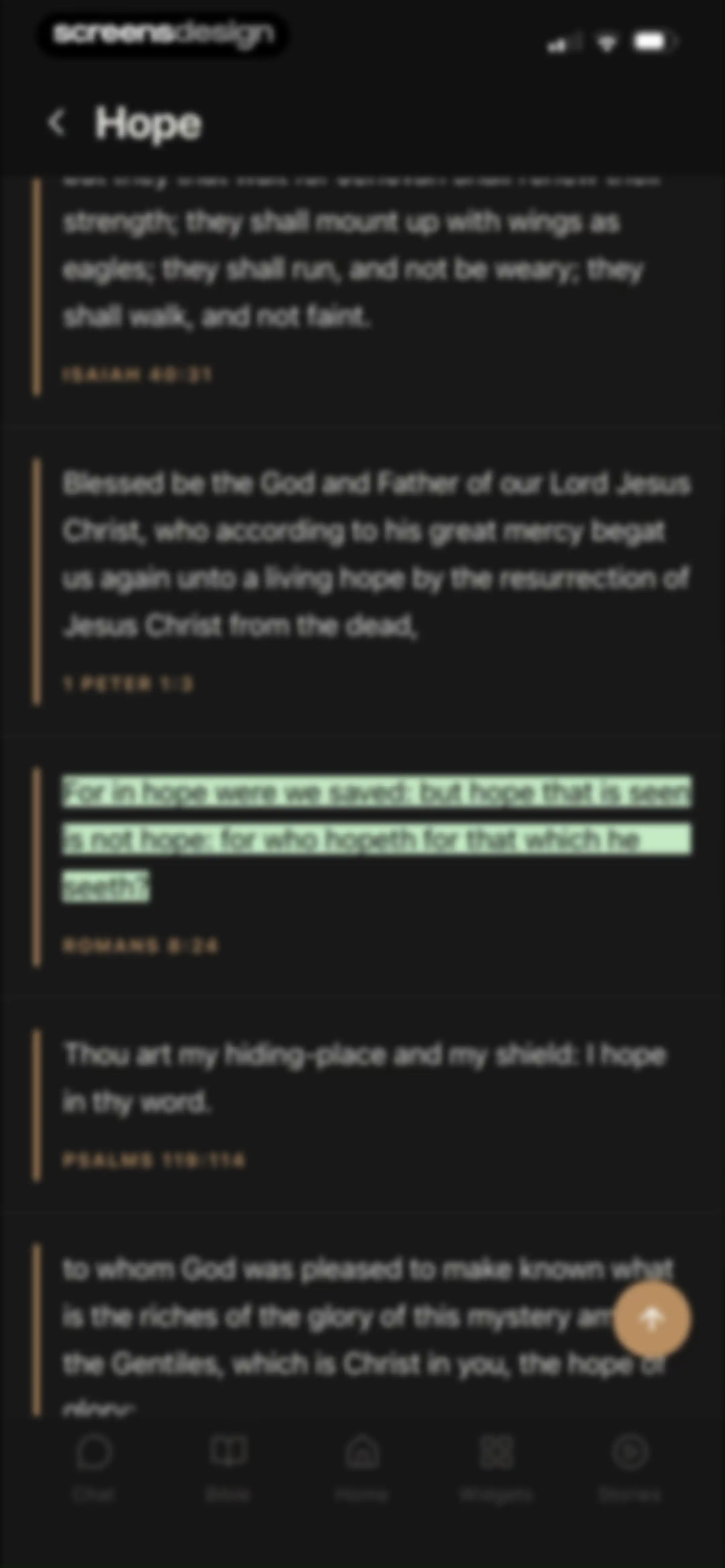 Holy Bible Widget: Daily Verse screen 114