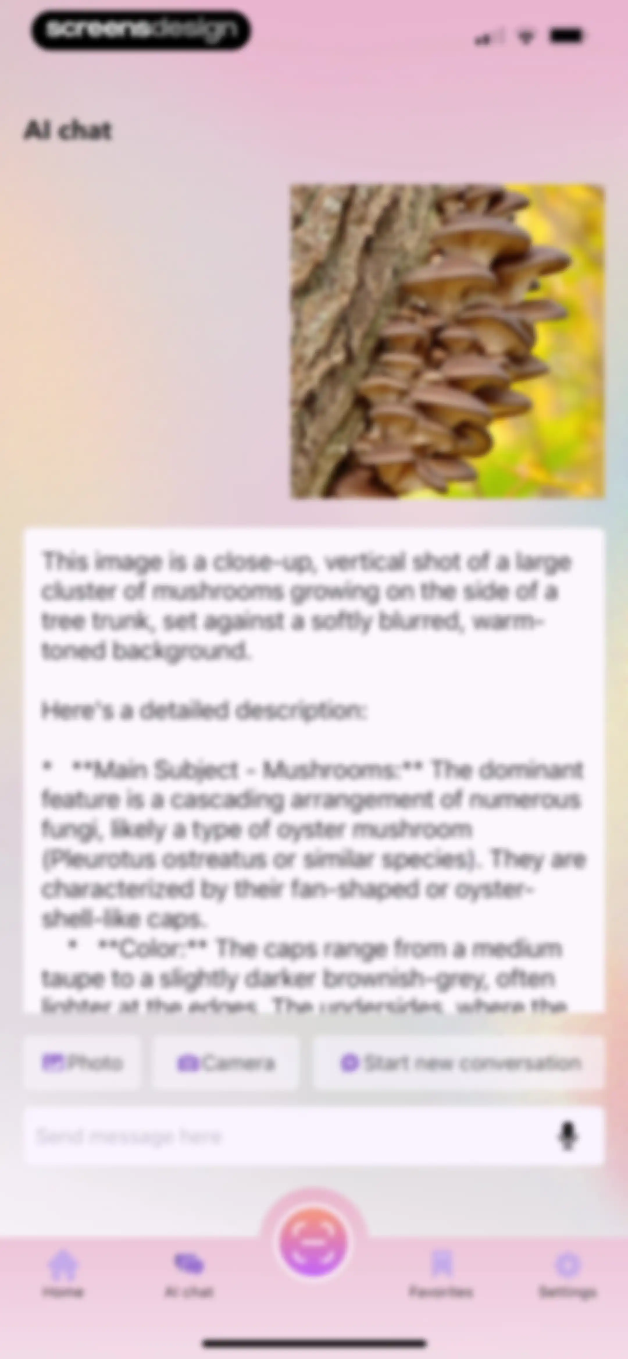SnapAI: Scan Anything screen 34