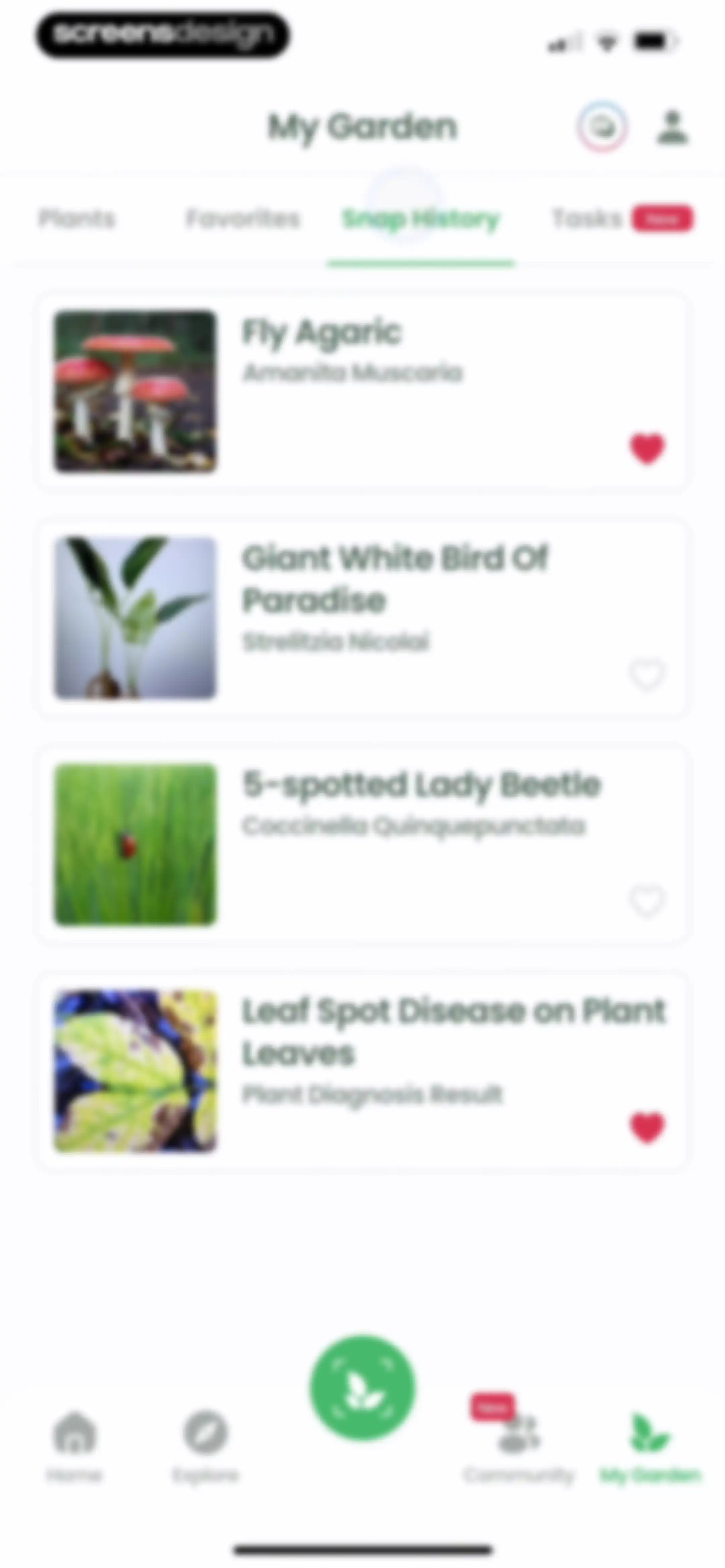 Plant Identifier: Plantiary screen 132