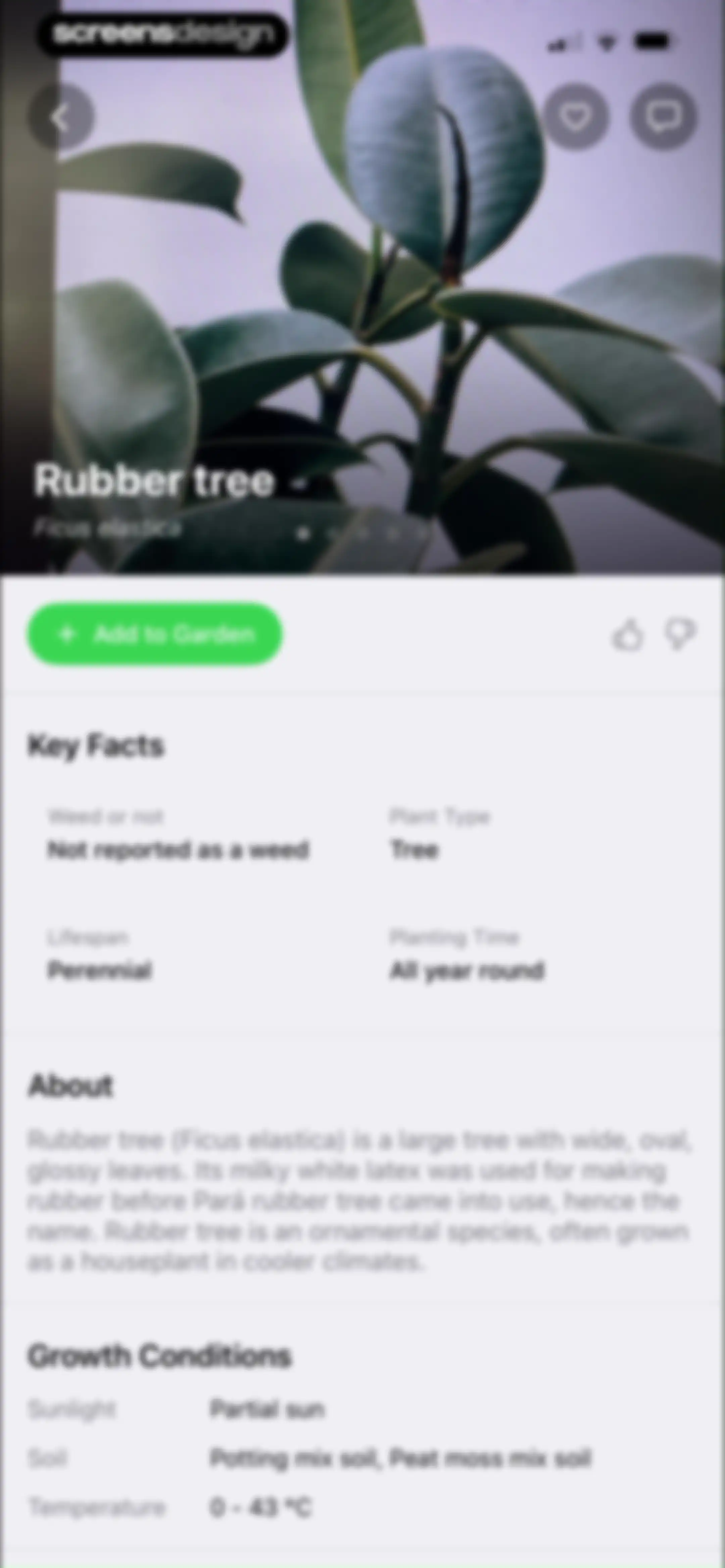FloraSnap: Plant Scanner screen 35