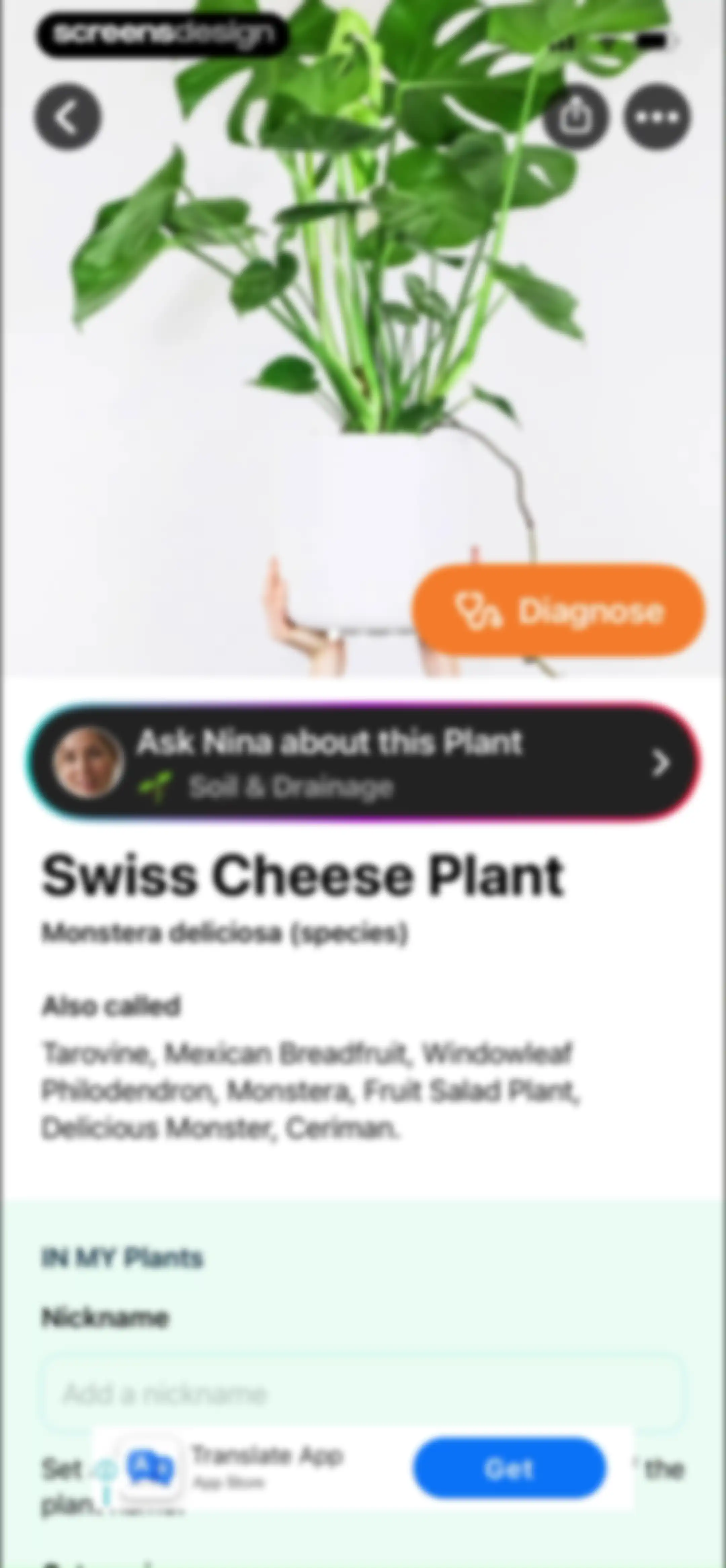 Free Plant Identifier screen 53