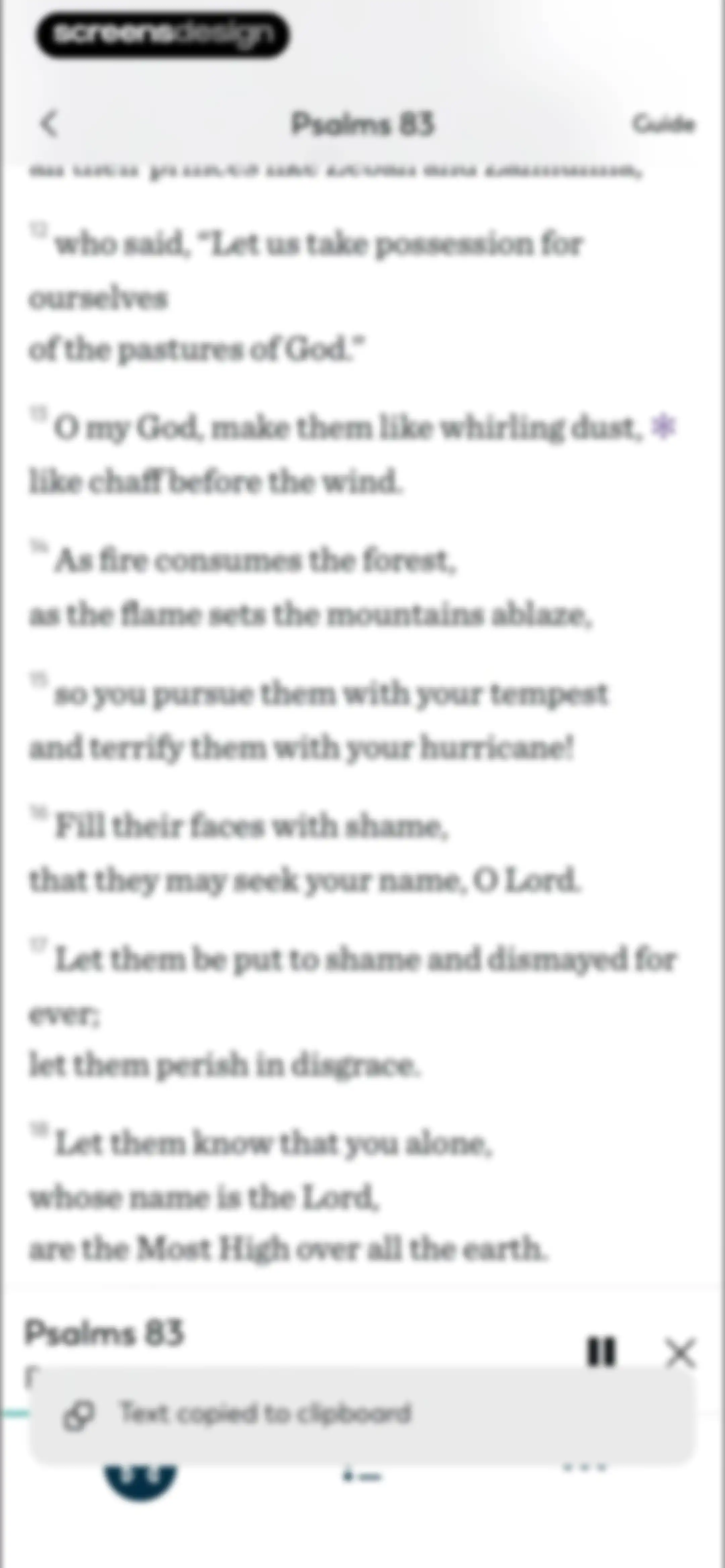 Ascension: Catholic Bible screen 29