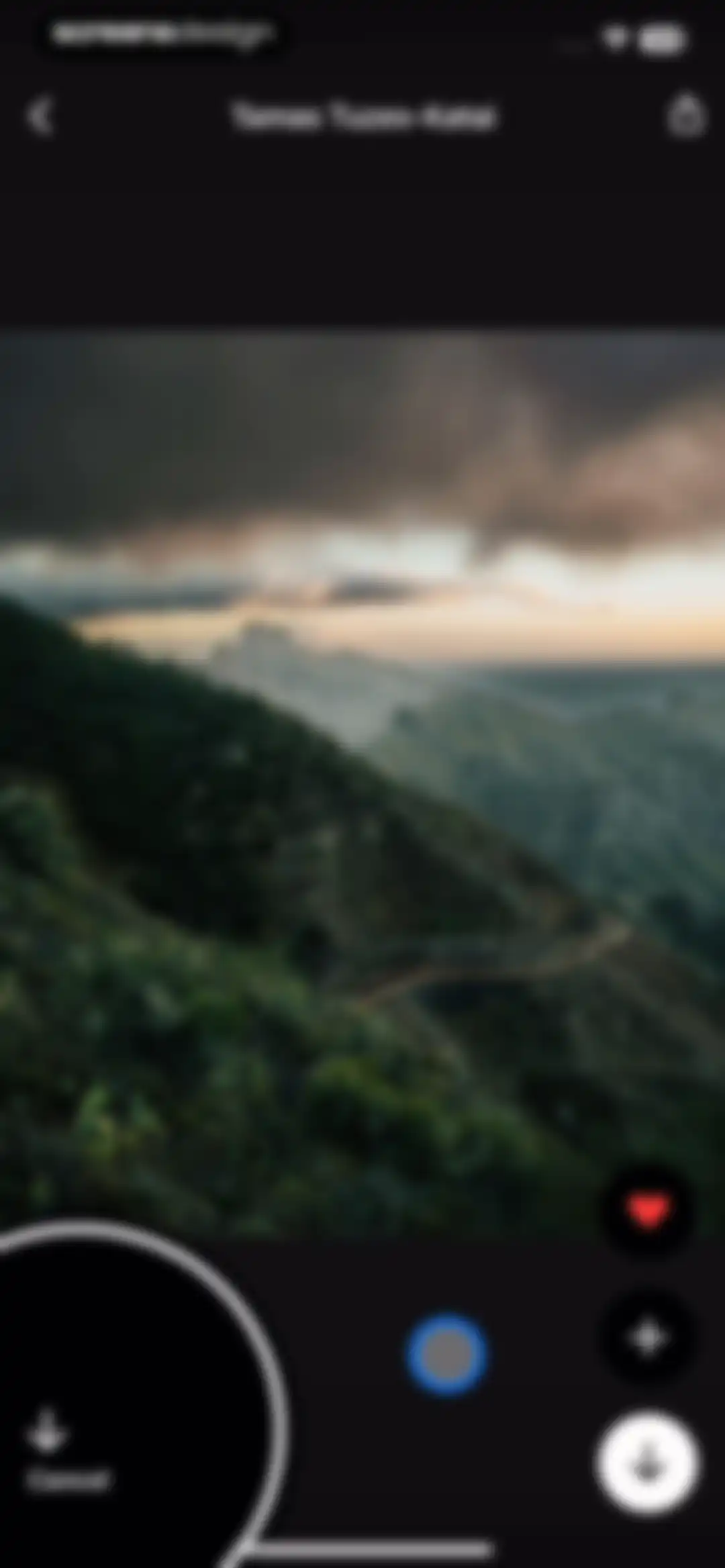 Unsplash screen 19