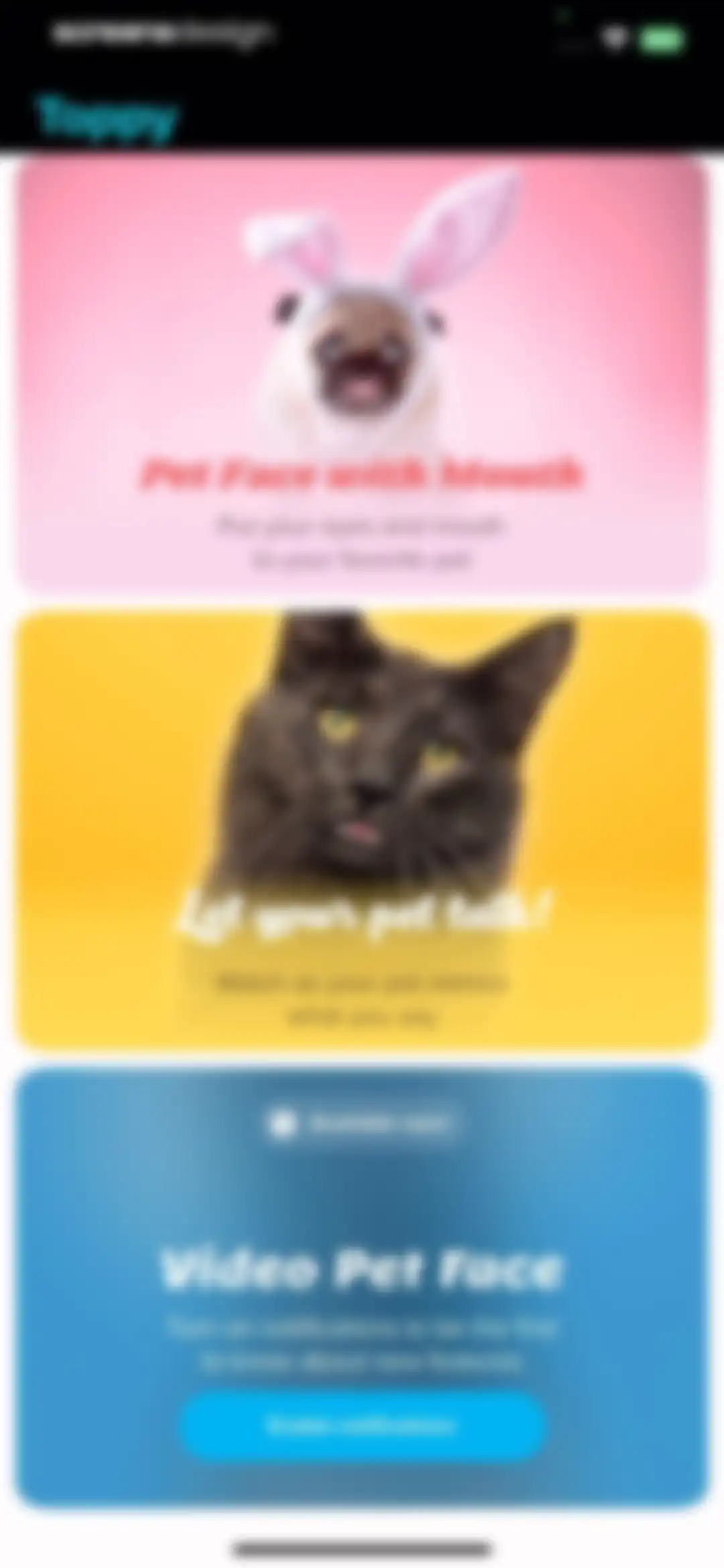 My Talking Animal & Pet App screen 17