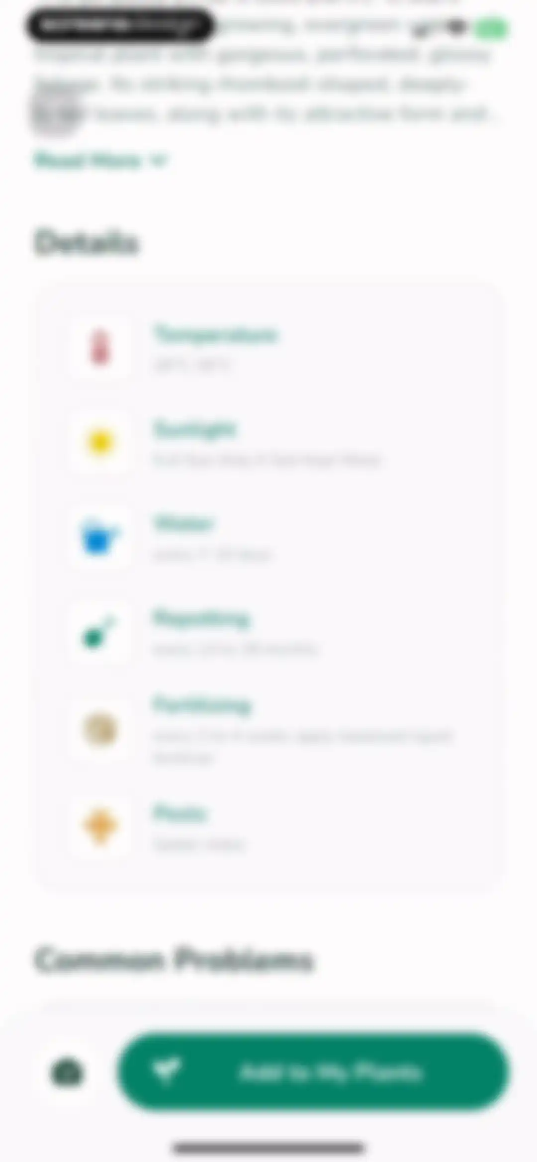 Plantify: AI Plant Identifier screen 15