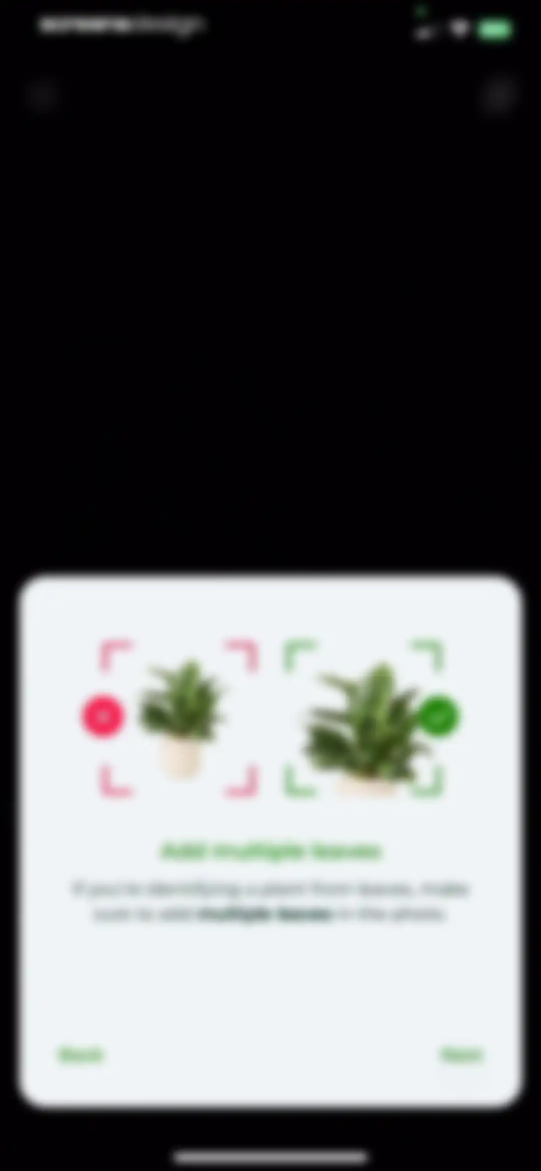 PlantSnap - Plant Scanner screen 33