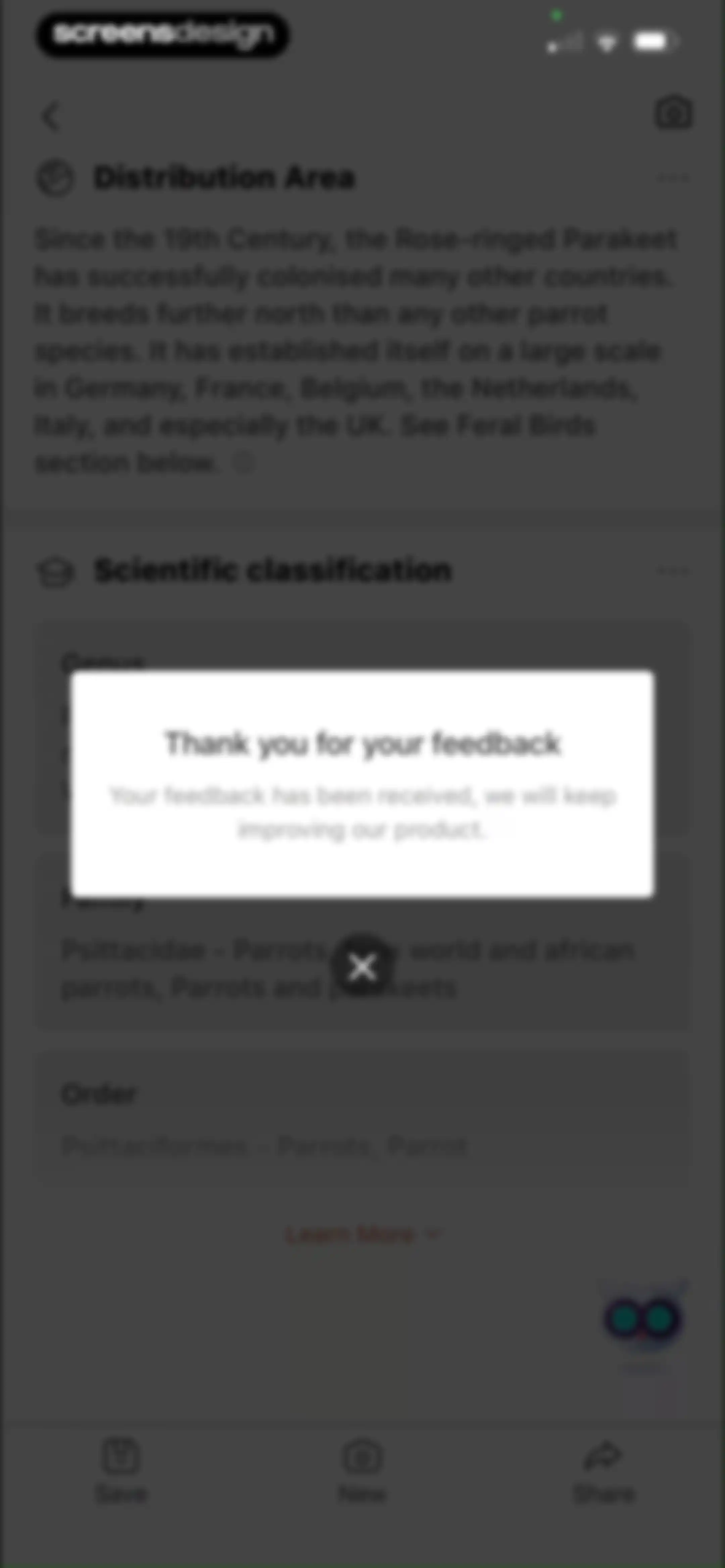 Picture Bird: Bird identifier screen 63