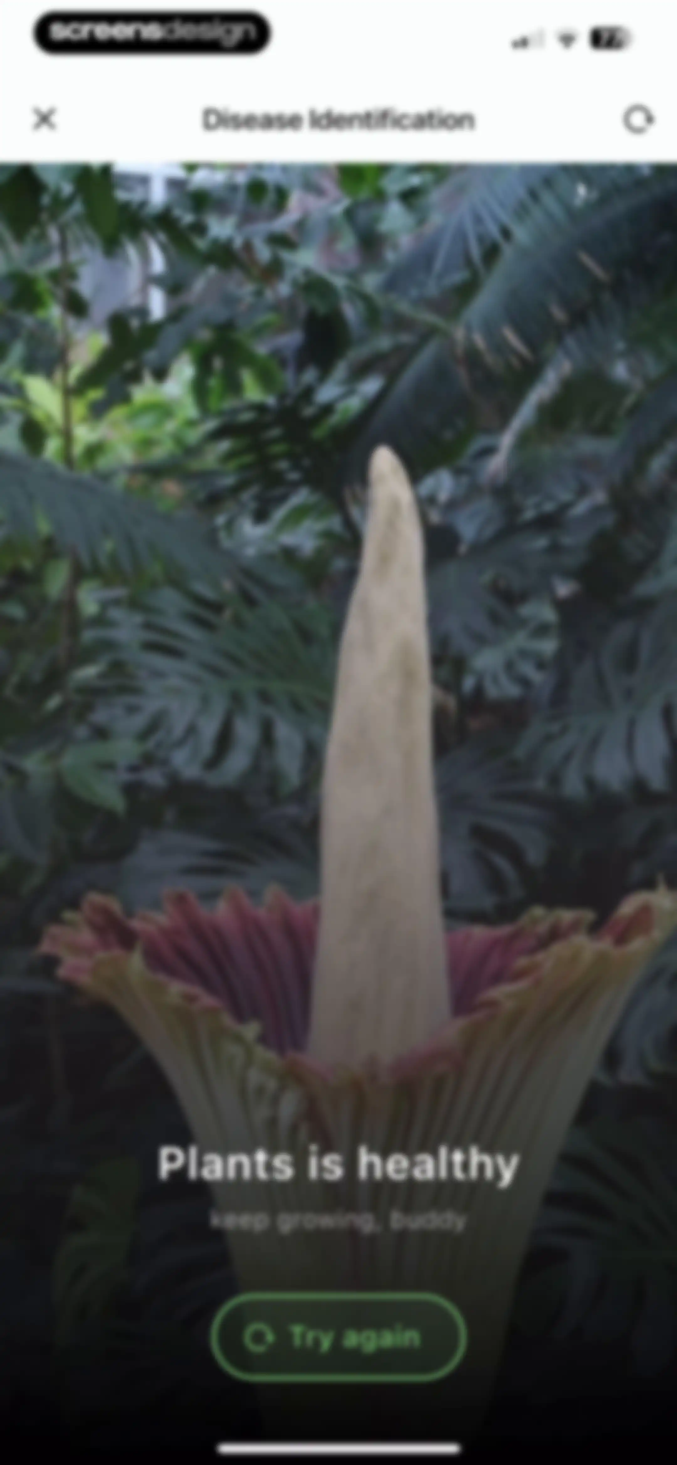 Plant Identifier: ChatPlant AI screen 62