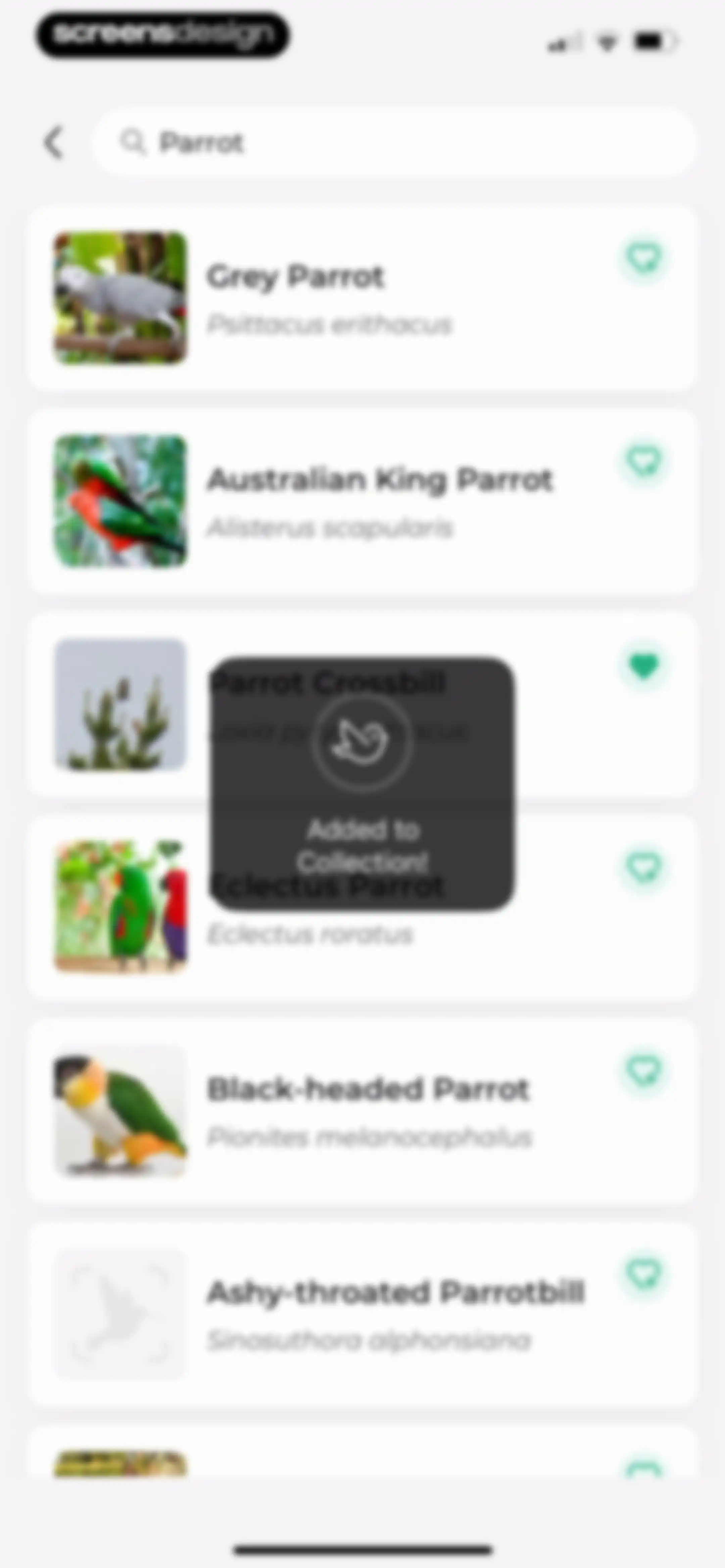 Bird Identifier: BirdScope screen 48