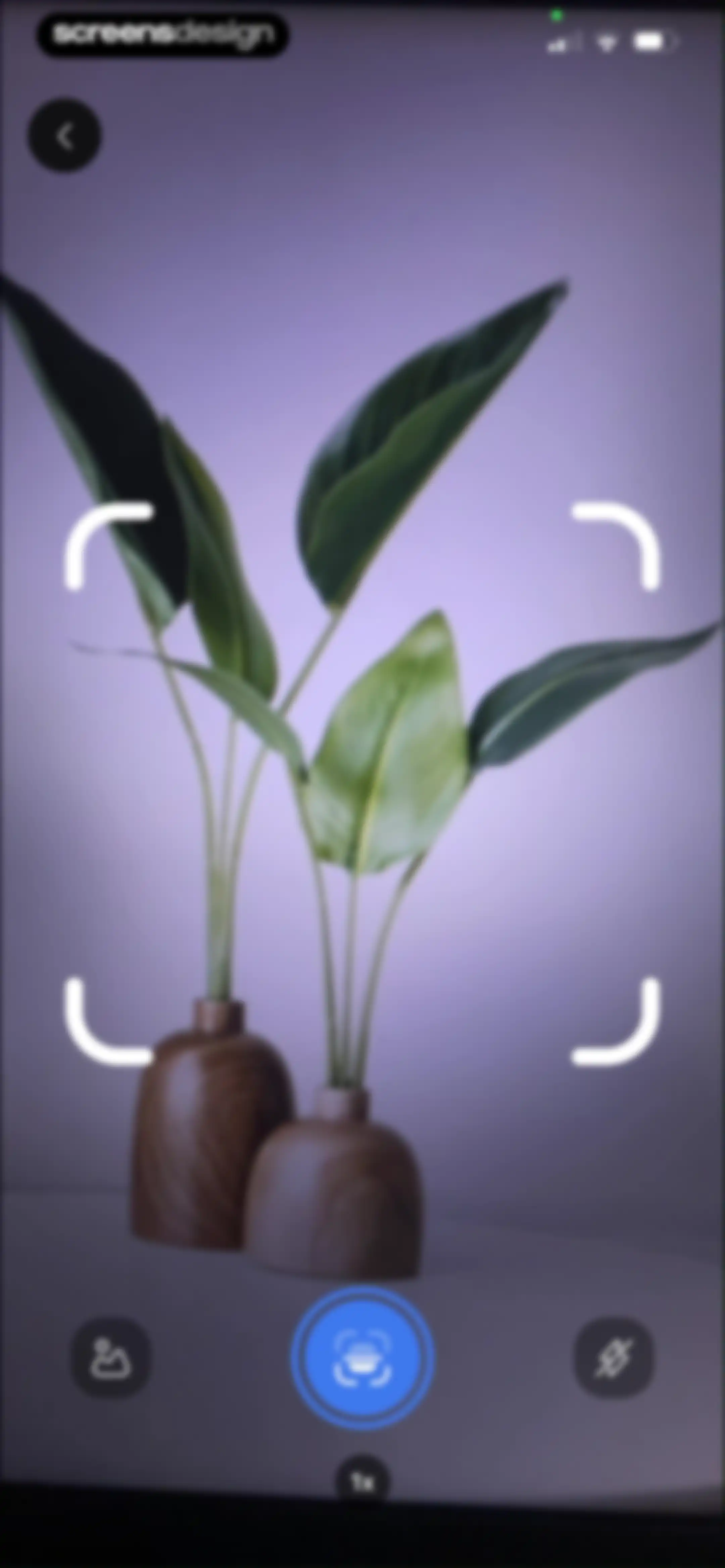 Lens Scan: Identify Anything screen 17