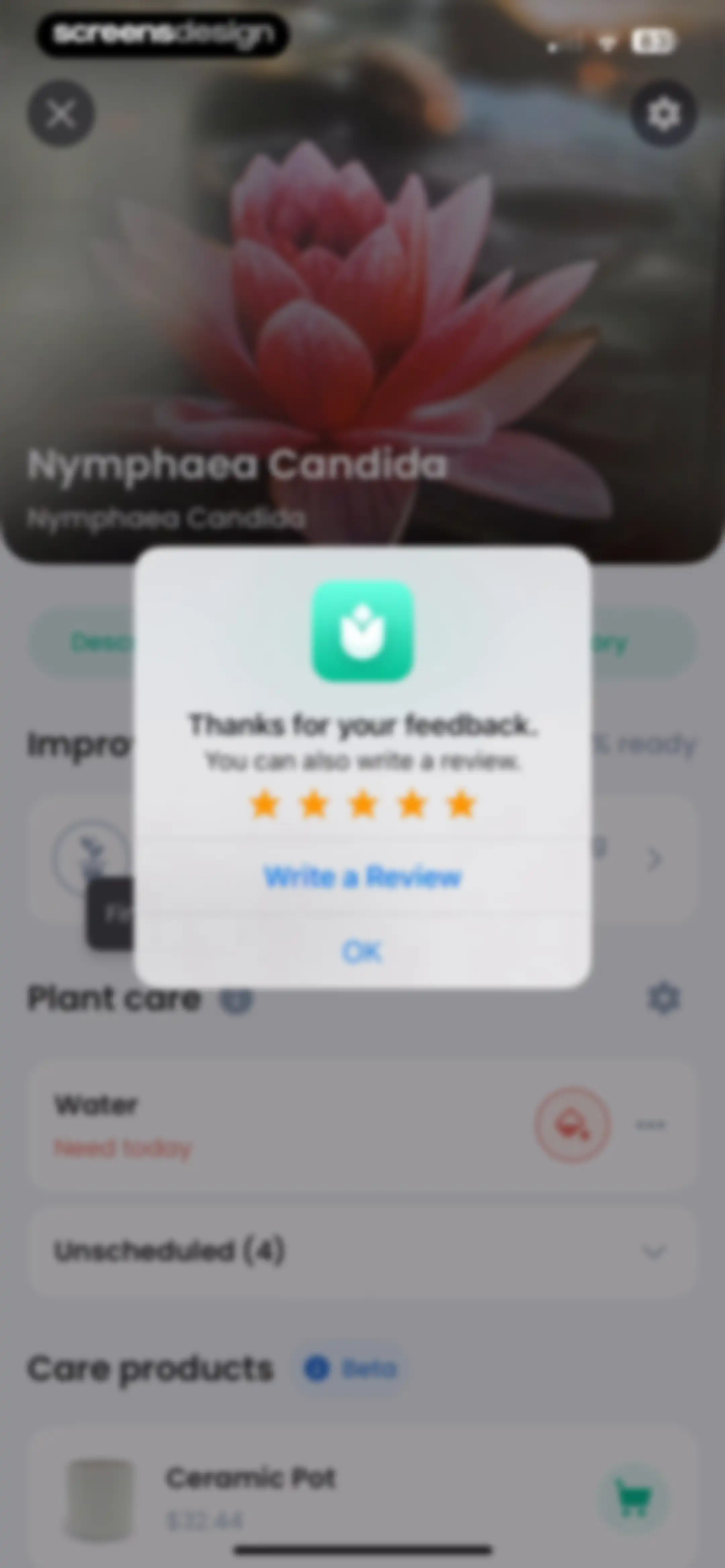 PlantIn: Plant Identifier・Care screen 31