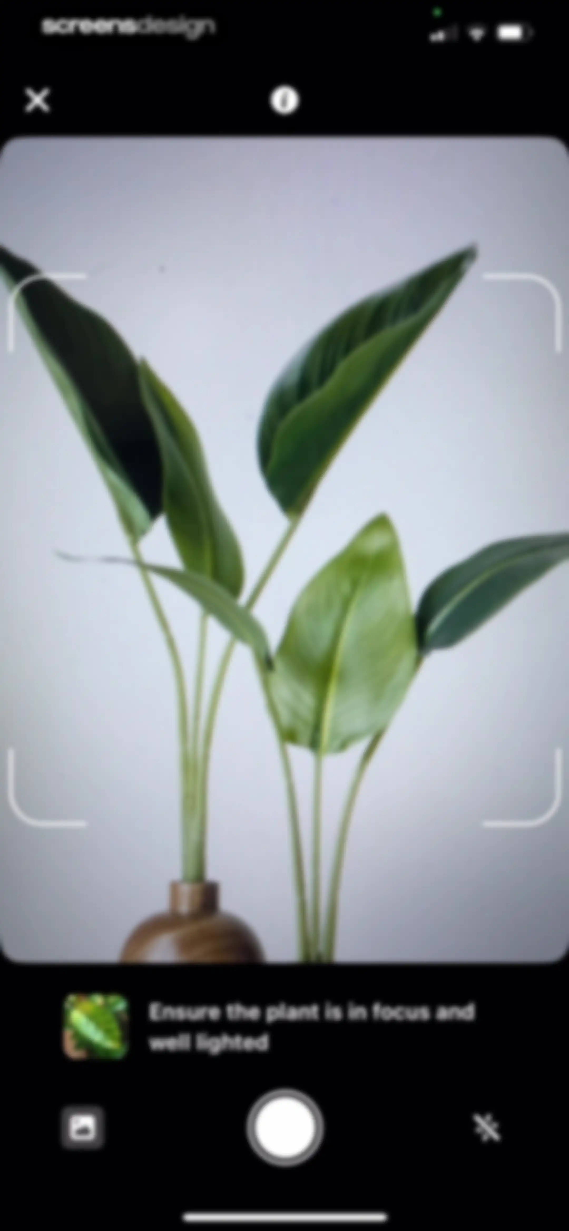 Plant Identifier & Care App screen 22