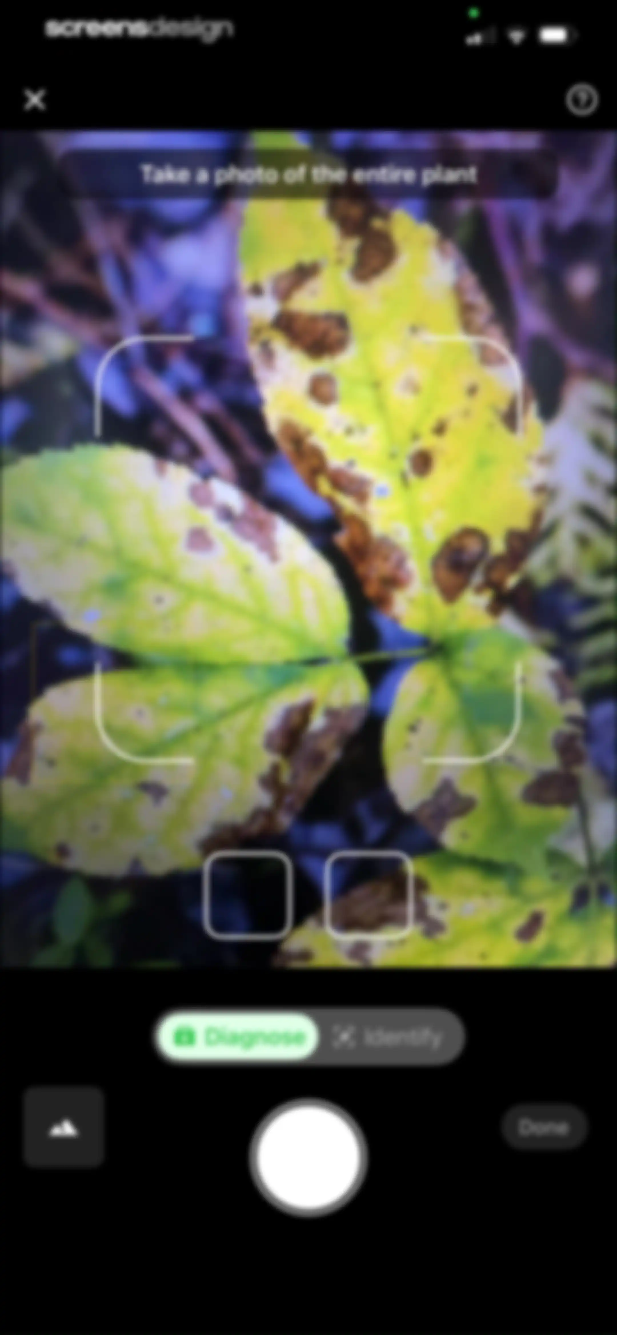 Plant Identifier & Plant Care. screen 48