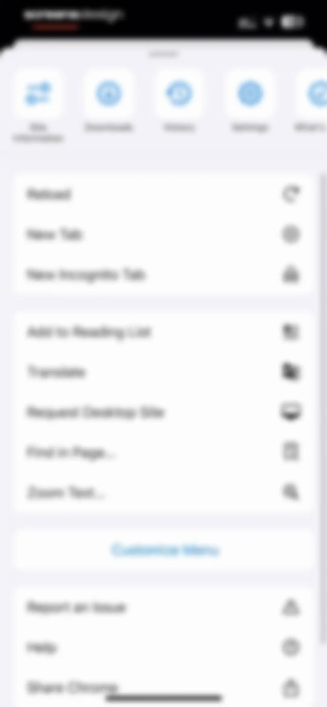 Google Chrome screen 116