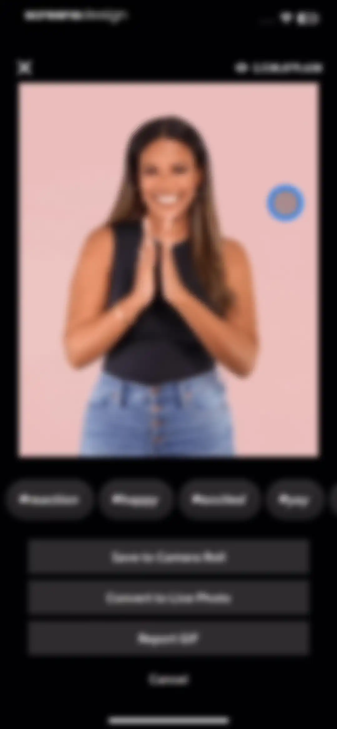 GIPHY: The GIF Search Engine screen 26