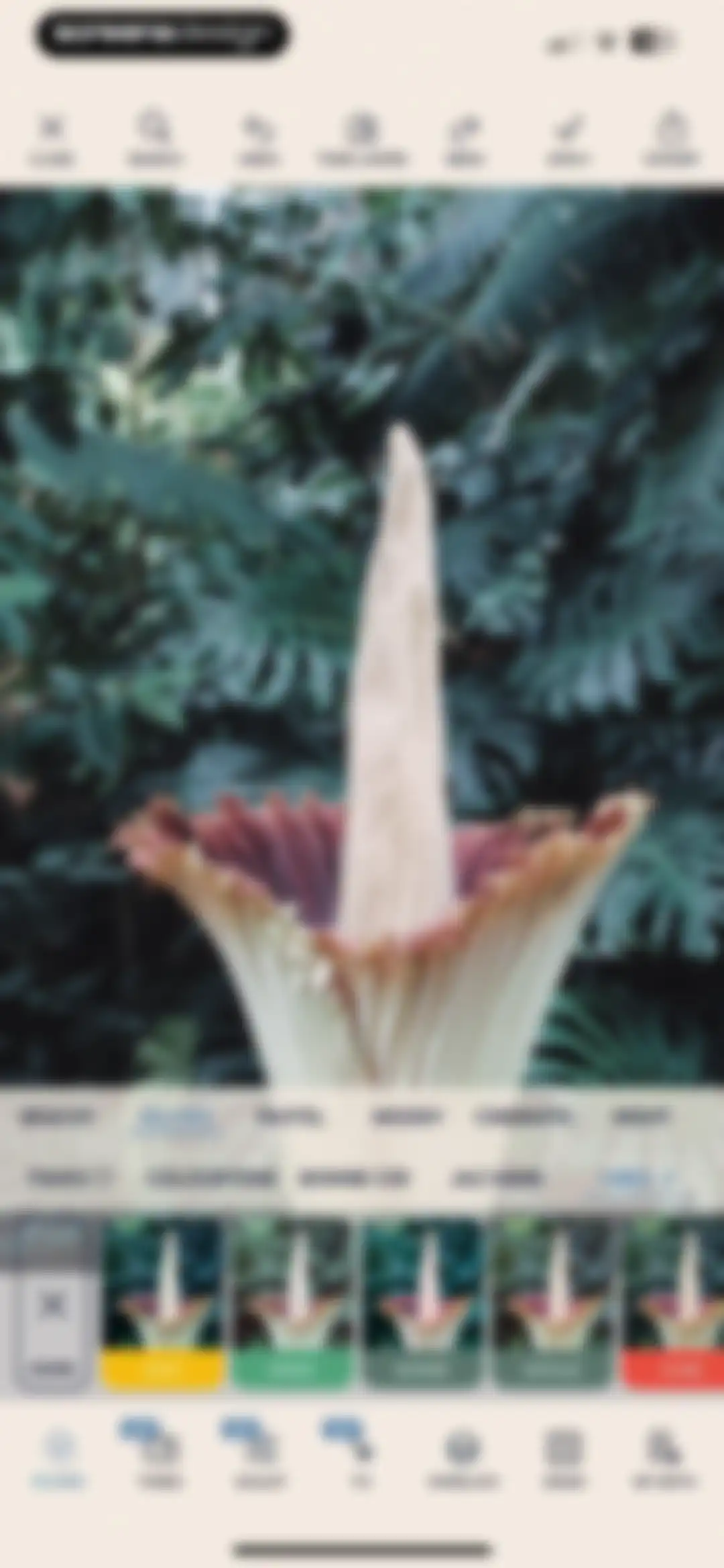 Colourtone: Photo Editor screen 29