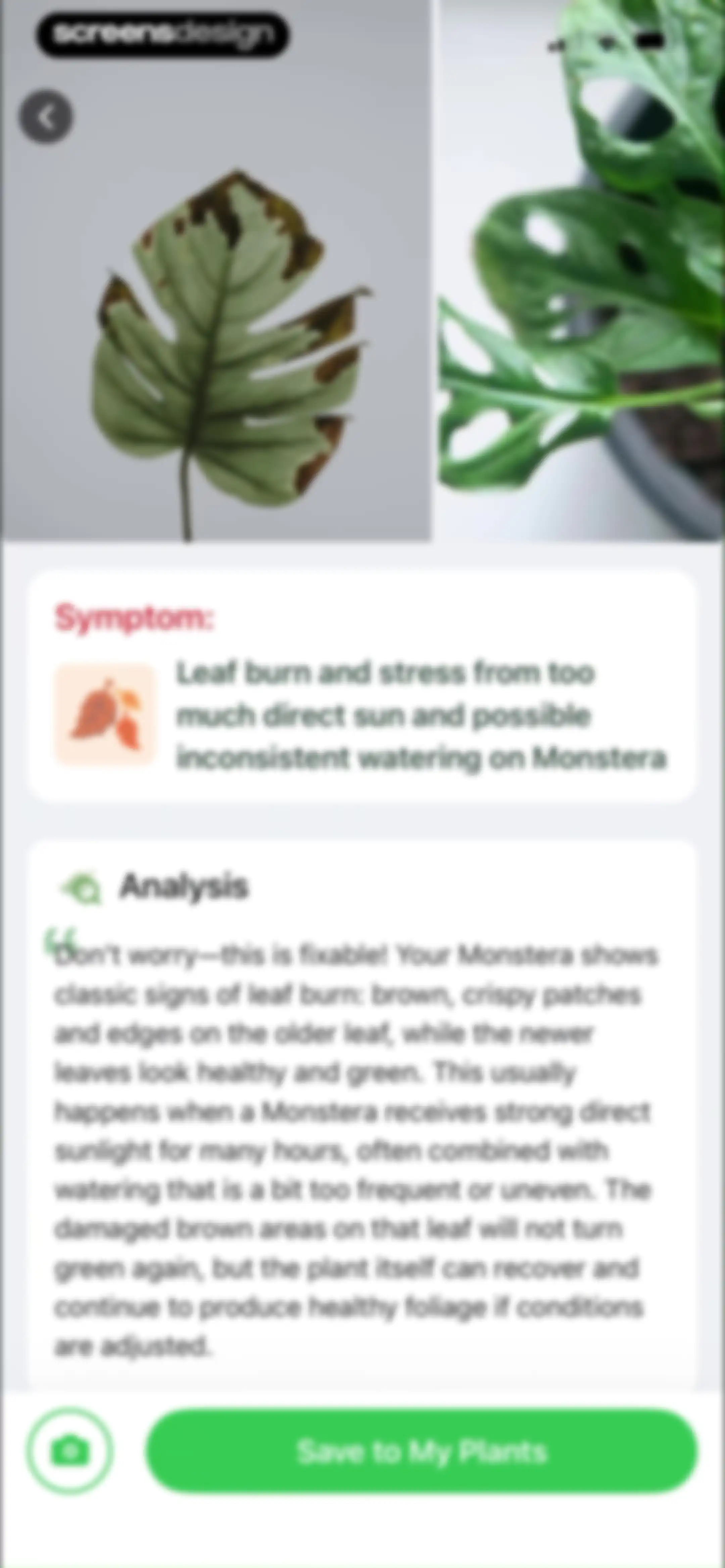 Plant Identifier & Plant Care. screen 64