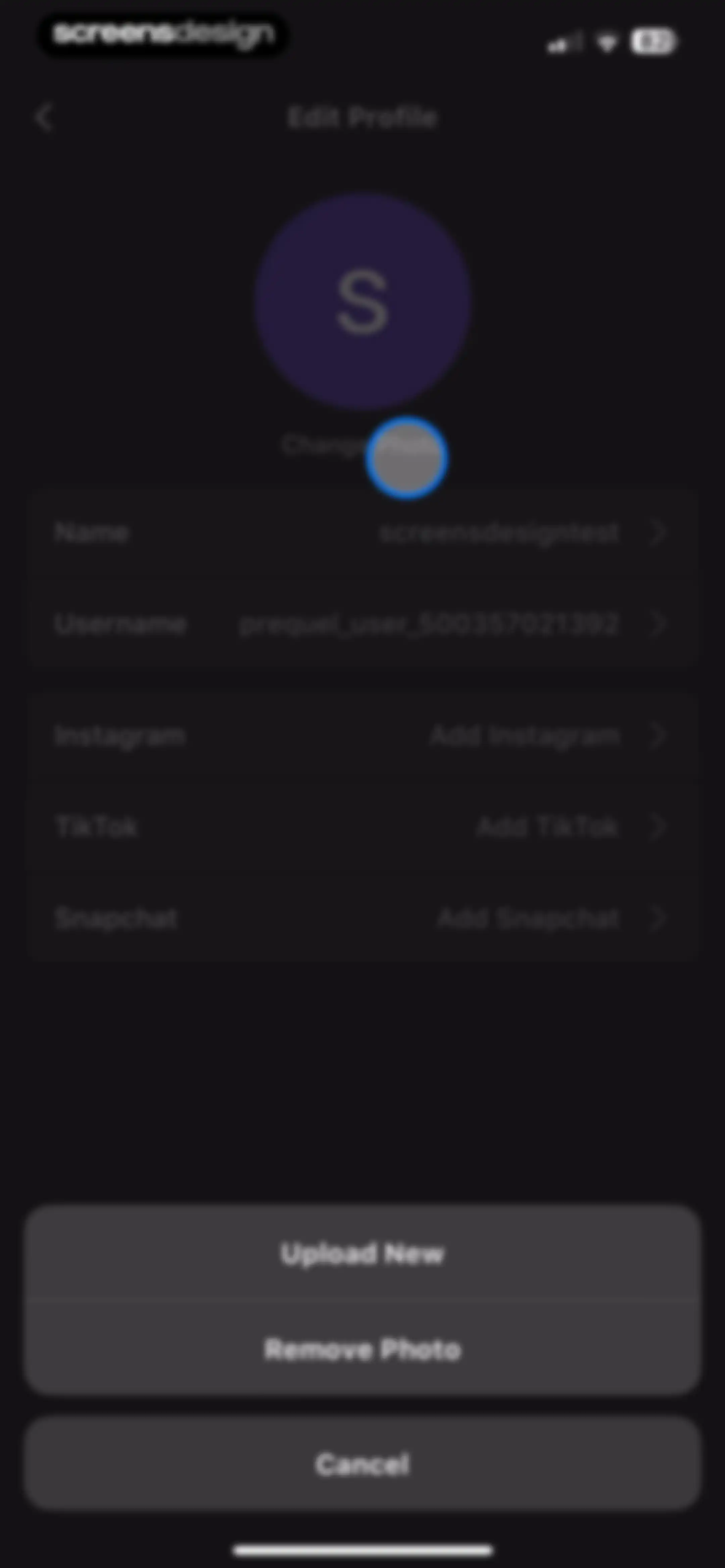 Prequel: Photo & Video Editor screen 163